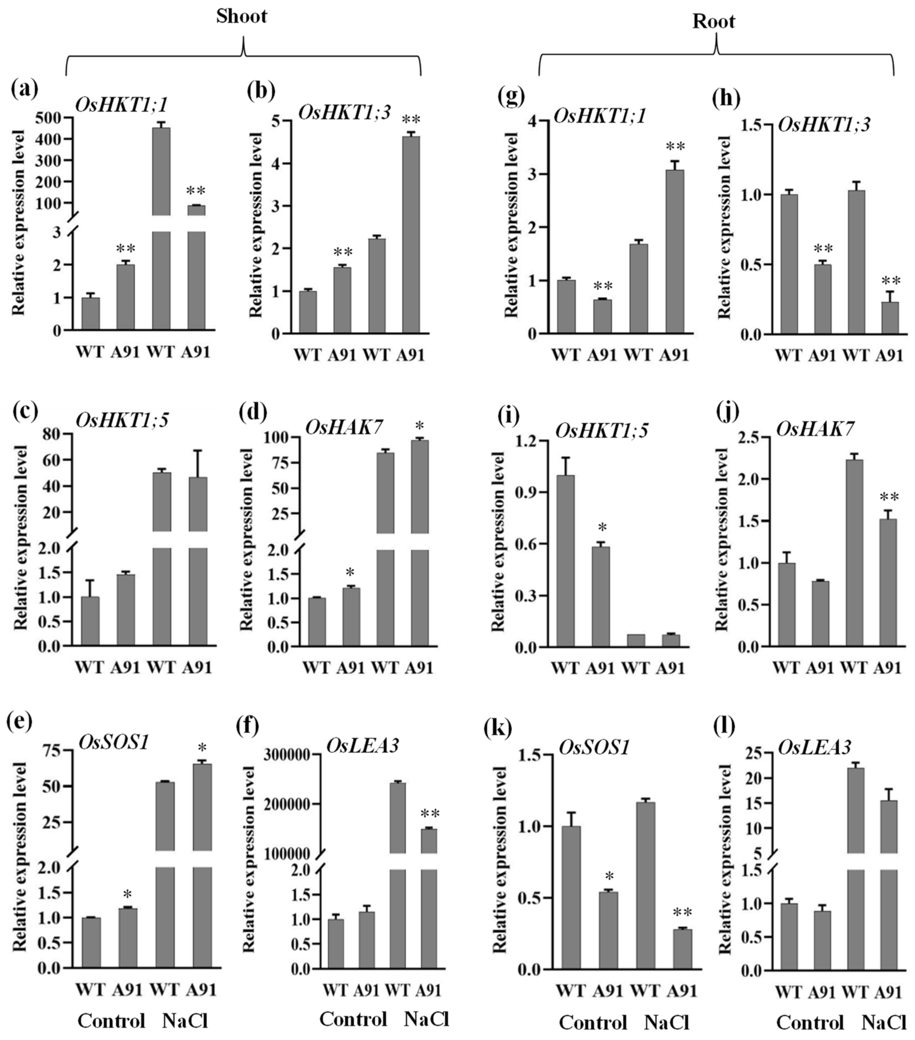 Plants 11 01184 g007