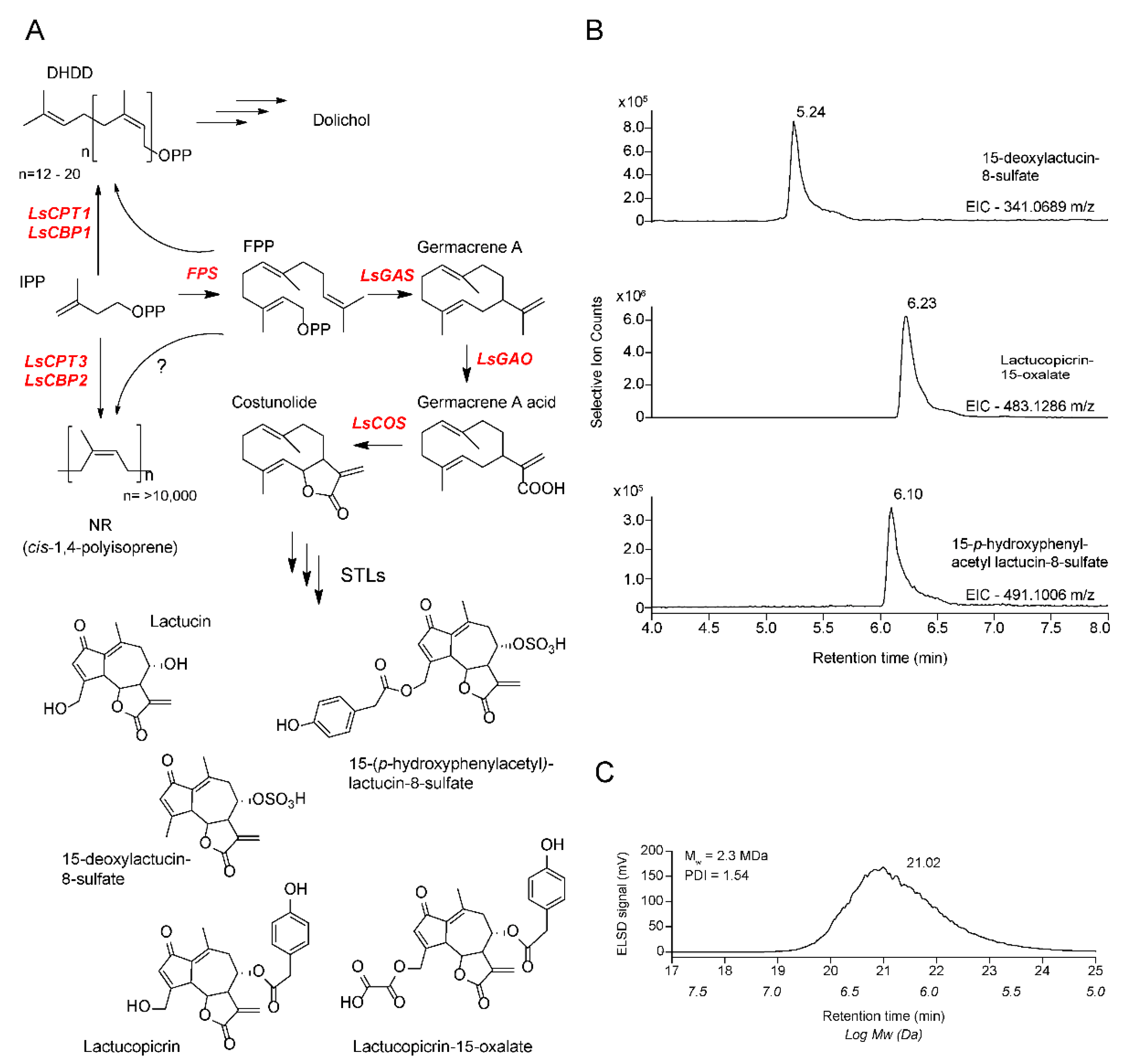 Plants 11 01192 g001 550
