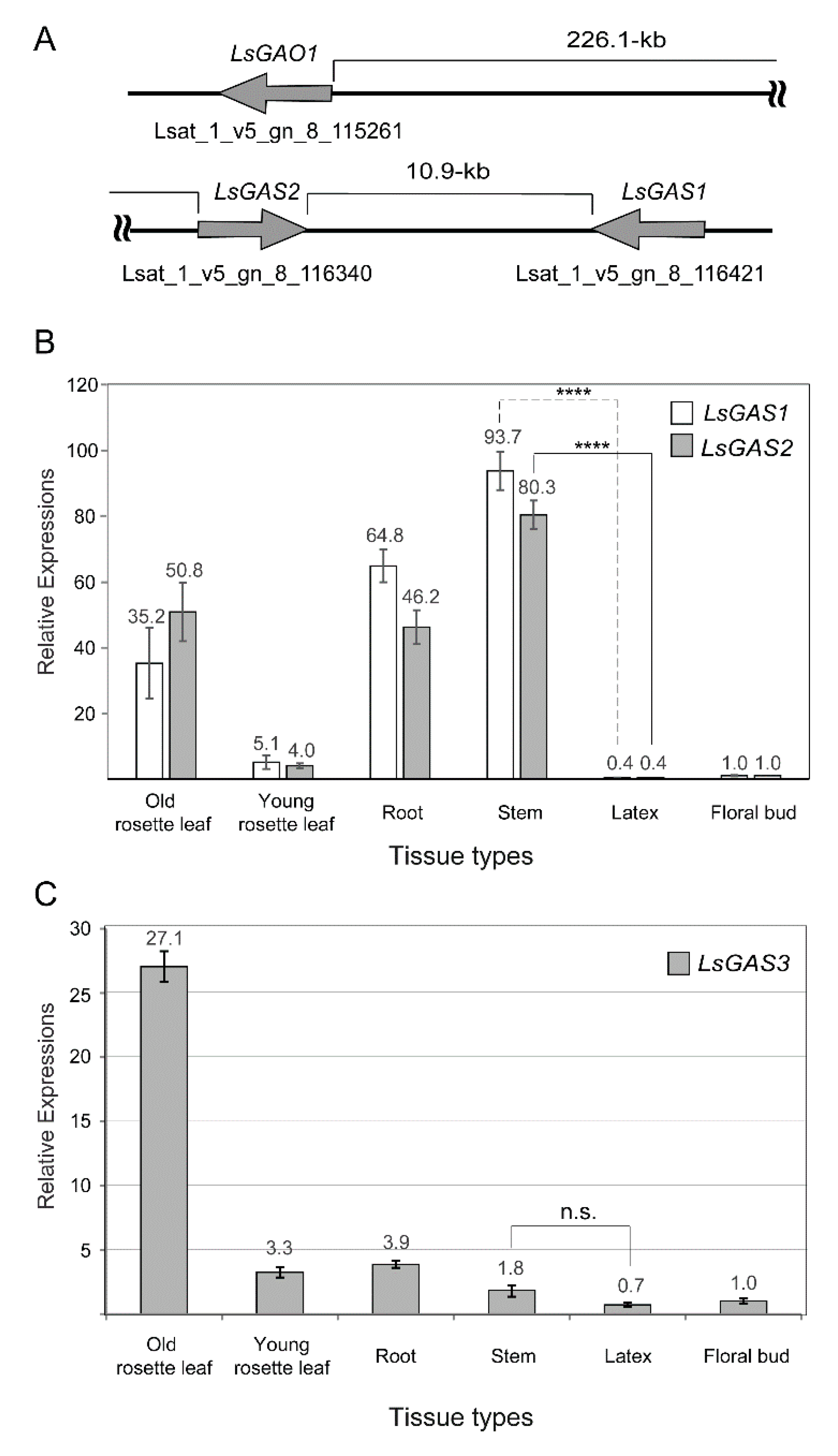Plants 11 01192 g002 550
