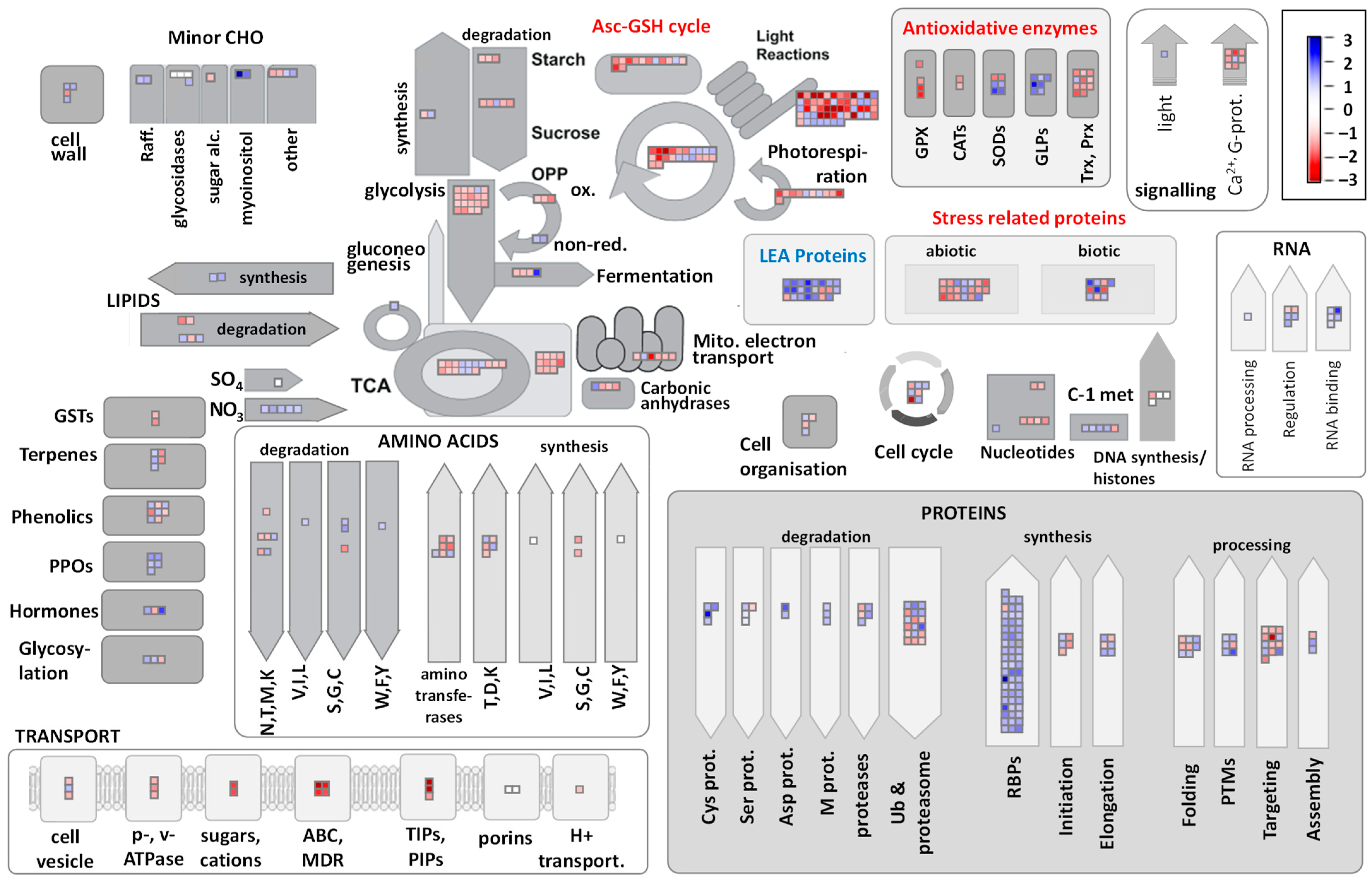 Plants 11 01199 g004