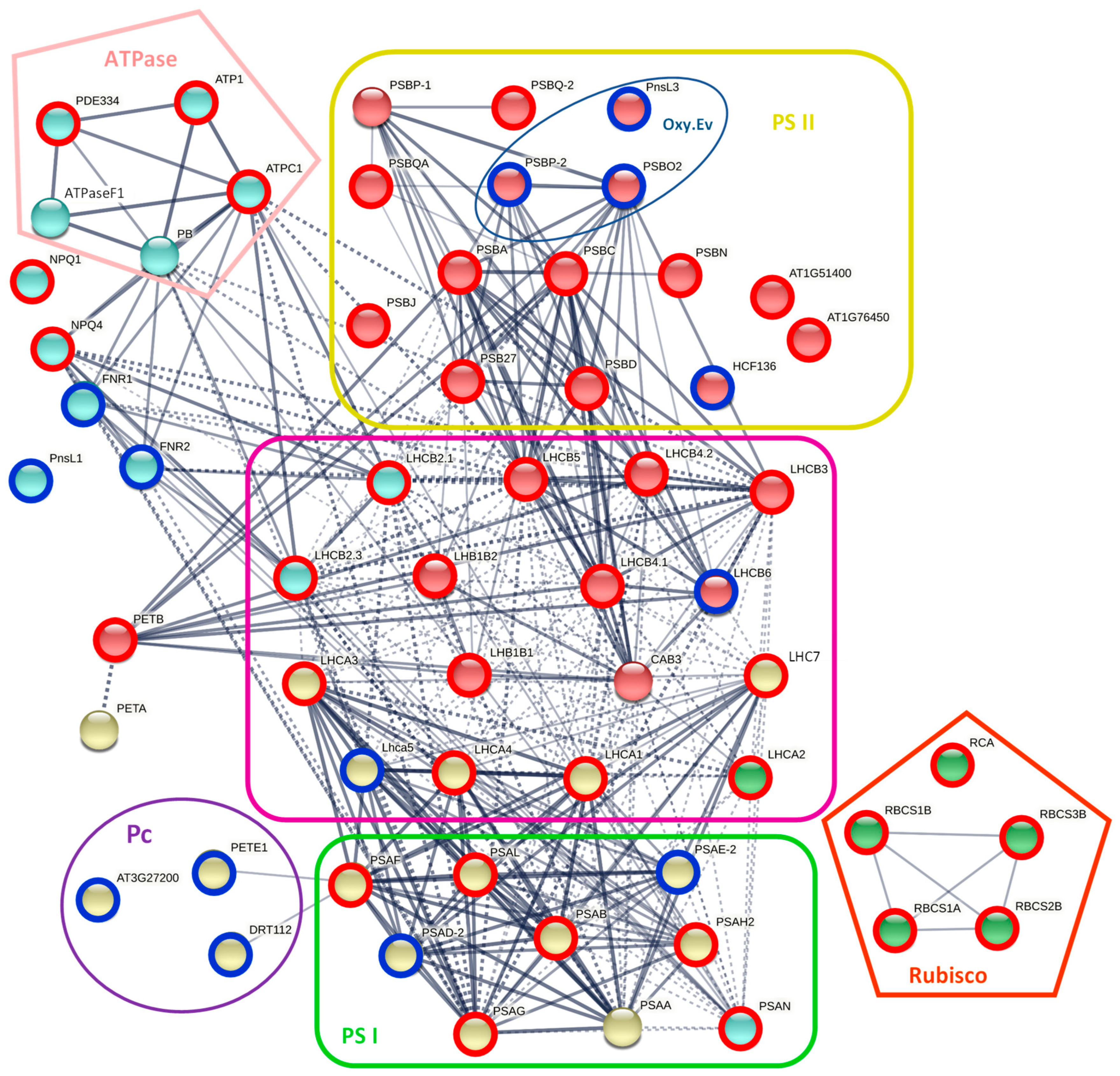 Plants 11 01199 g007