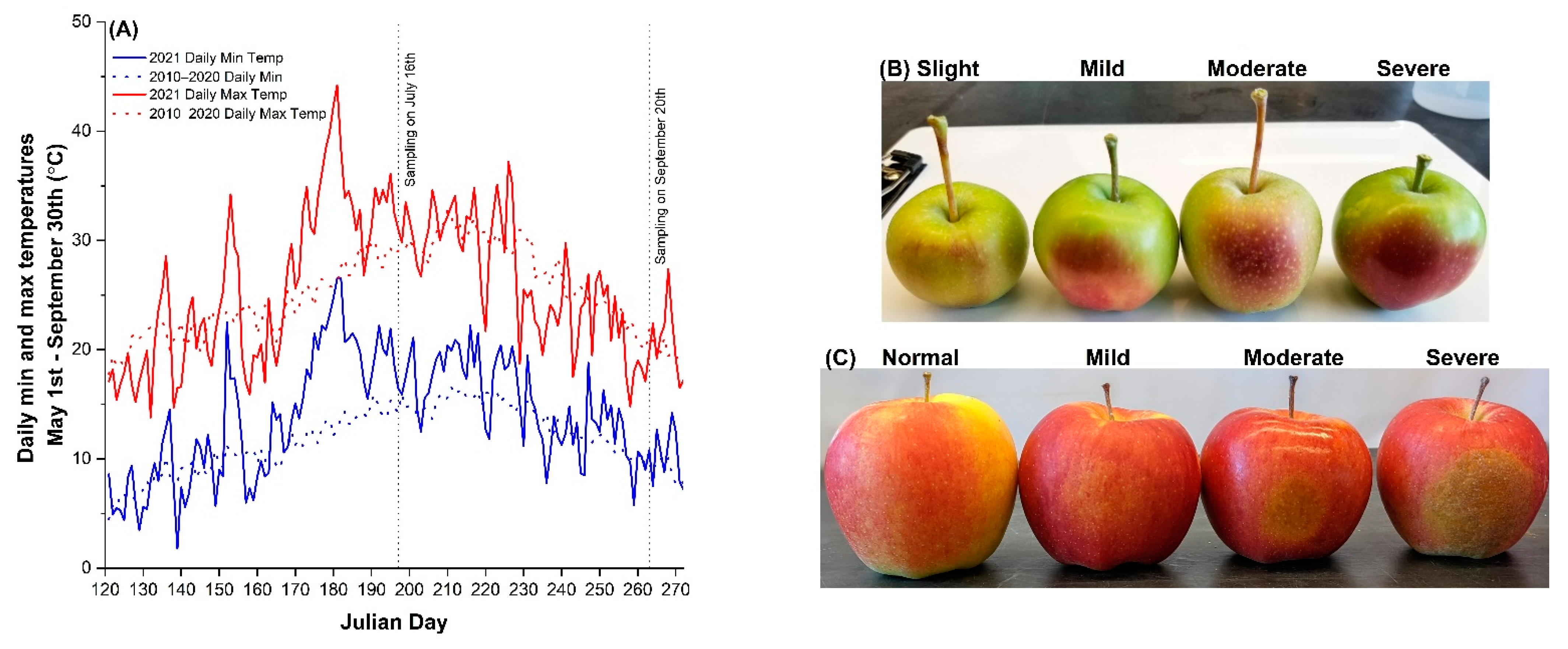 Plants 11 01201 g001 550
