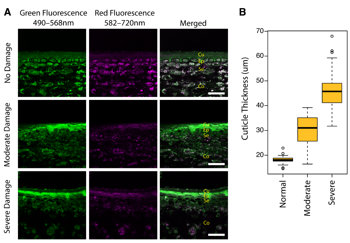 Plants 11 01201 g003 550