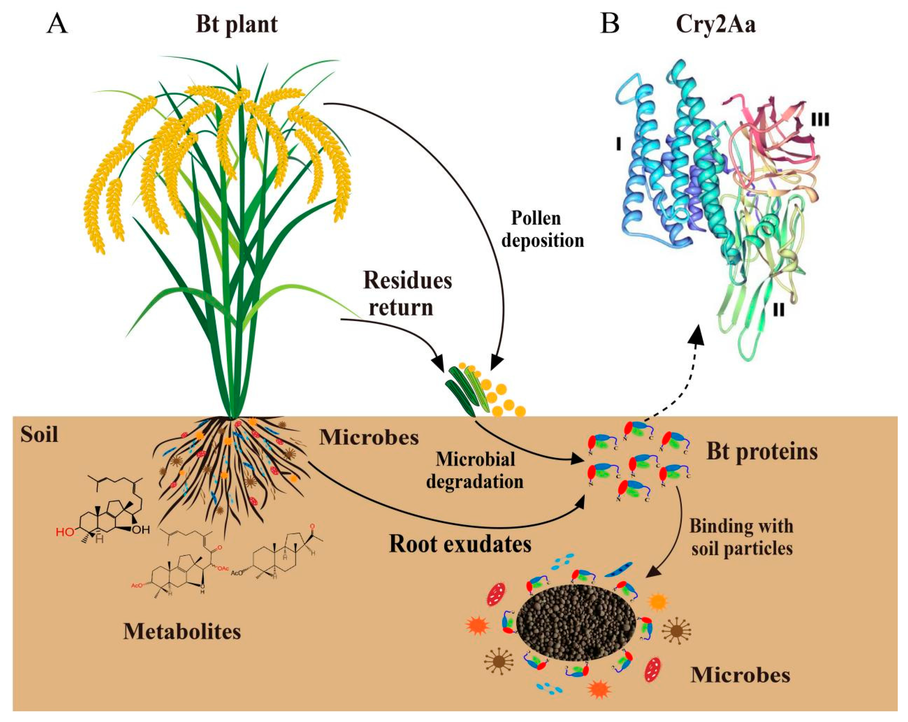 Plants, Free Full-Text