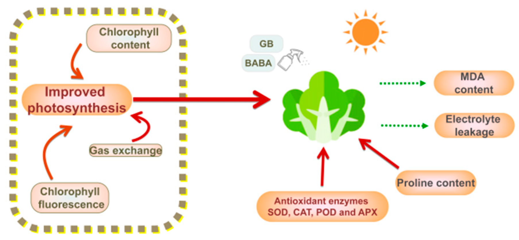 Plants 11 01213 g004 550