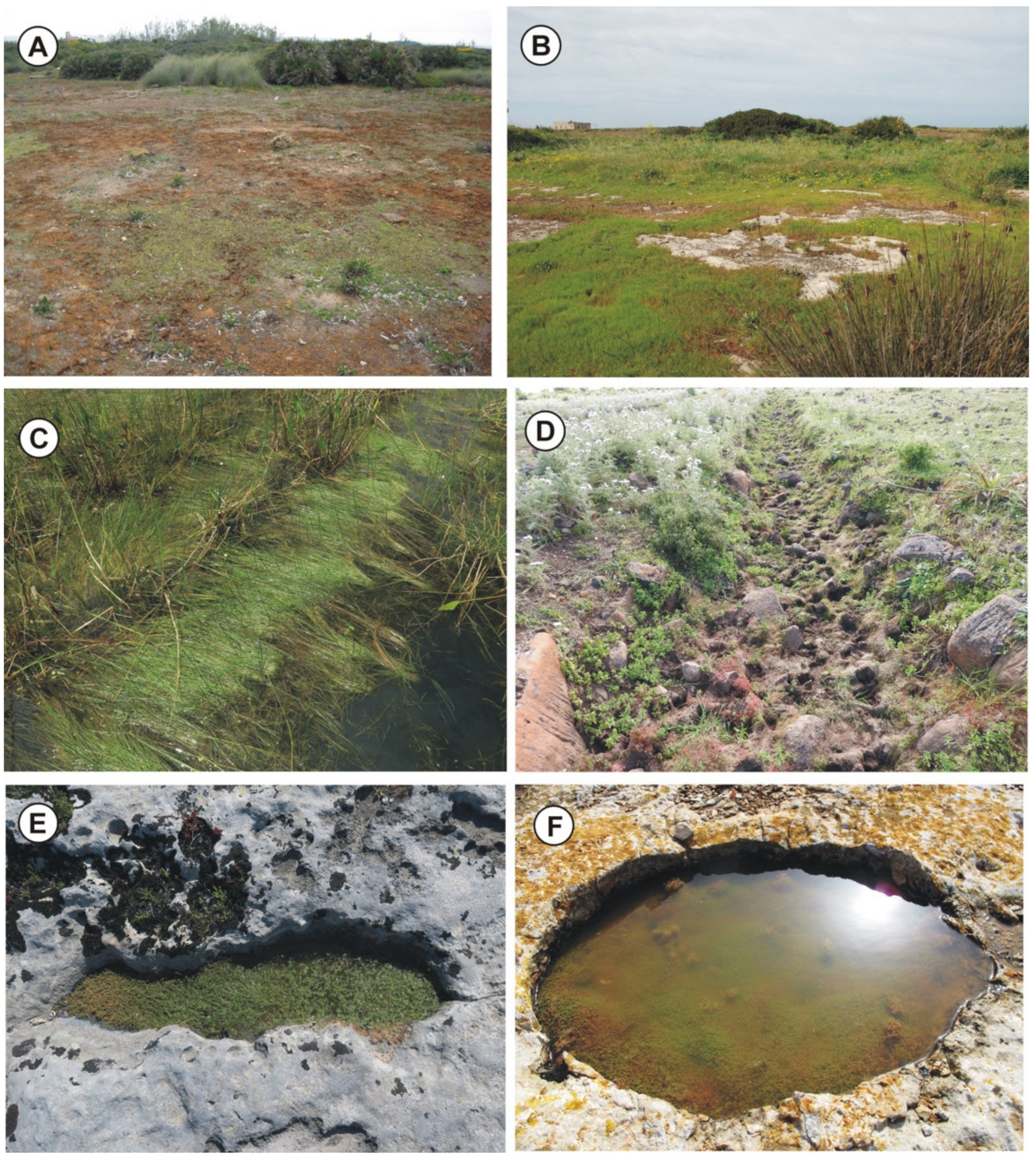 Plants 11 01214 g002 550