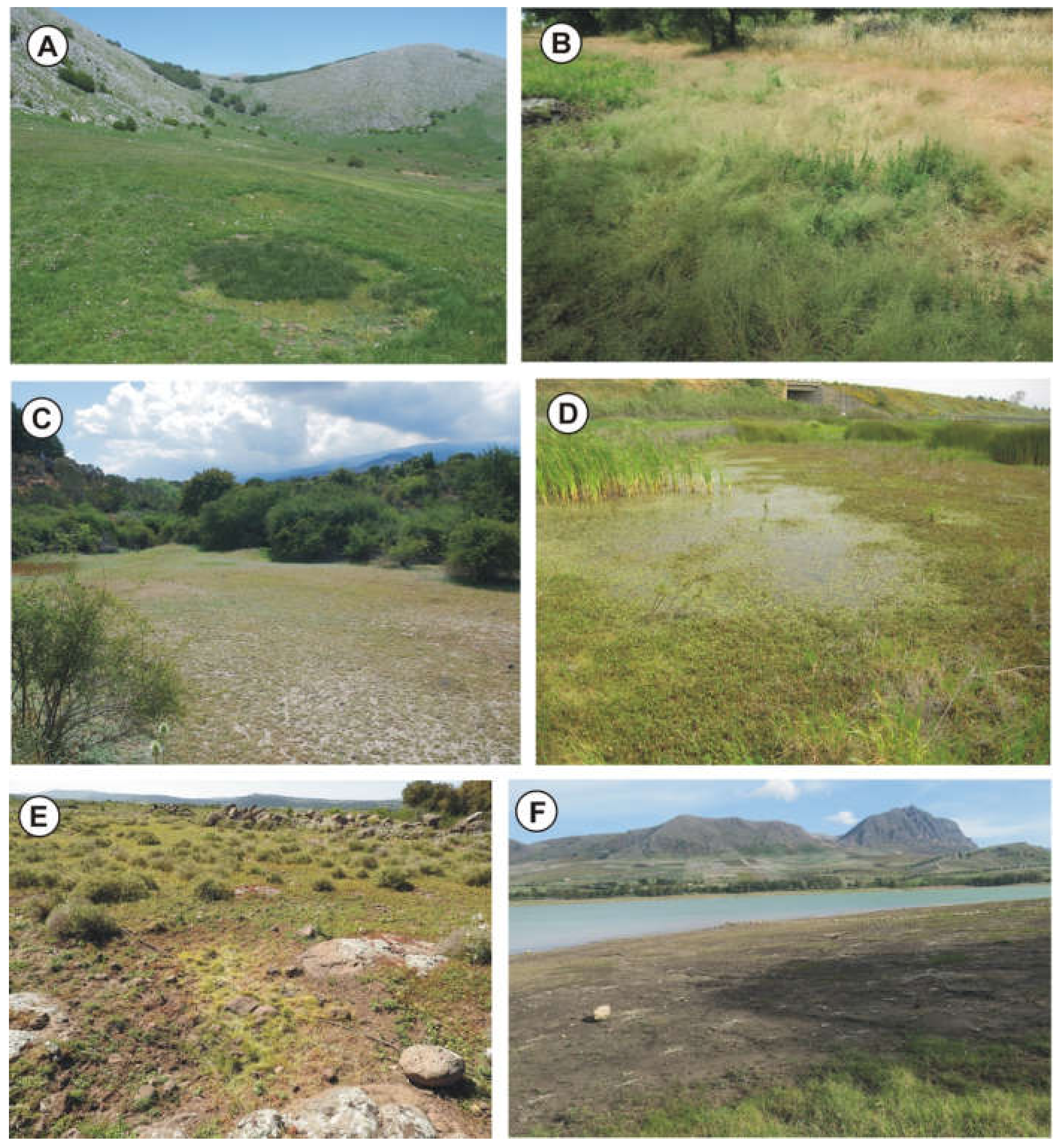 Plants 11 01214 g003 550