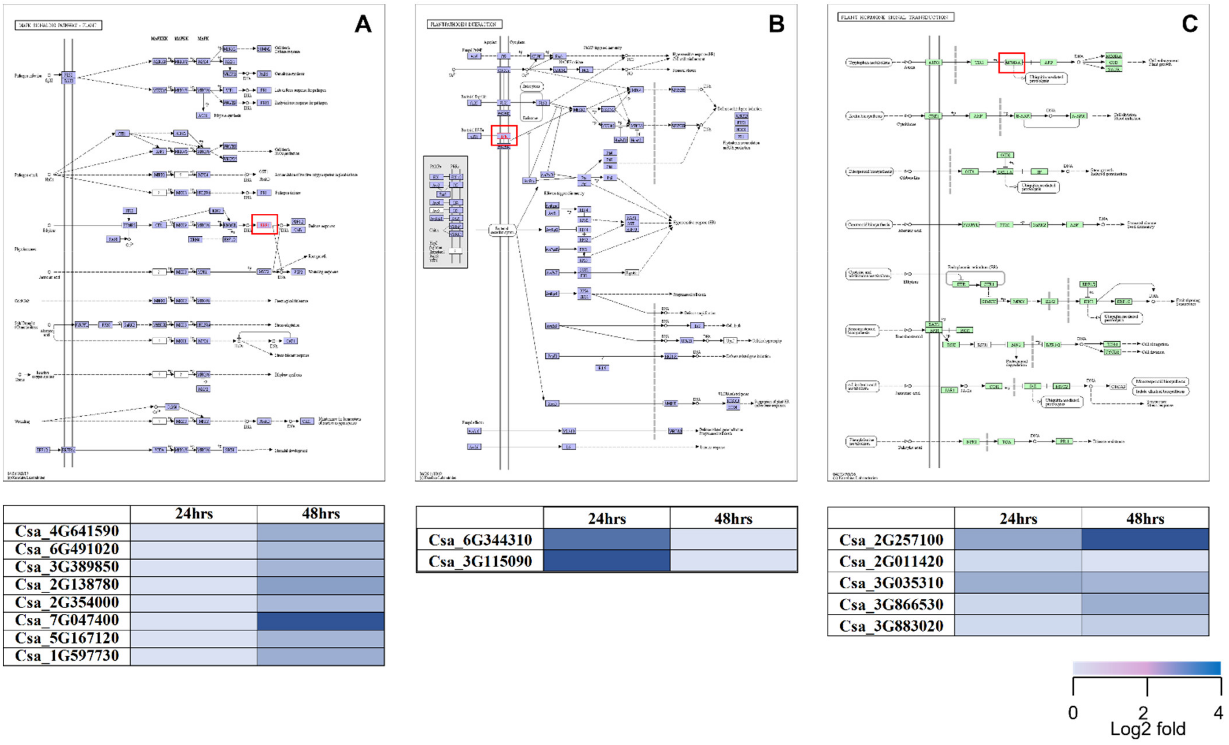 Plants 11 01218 g004 Plants 11 01218 g004