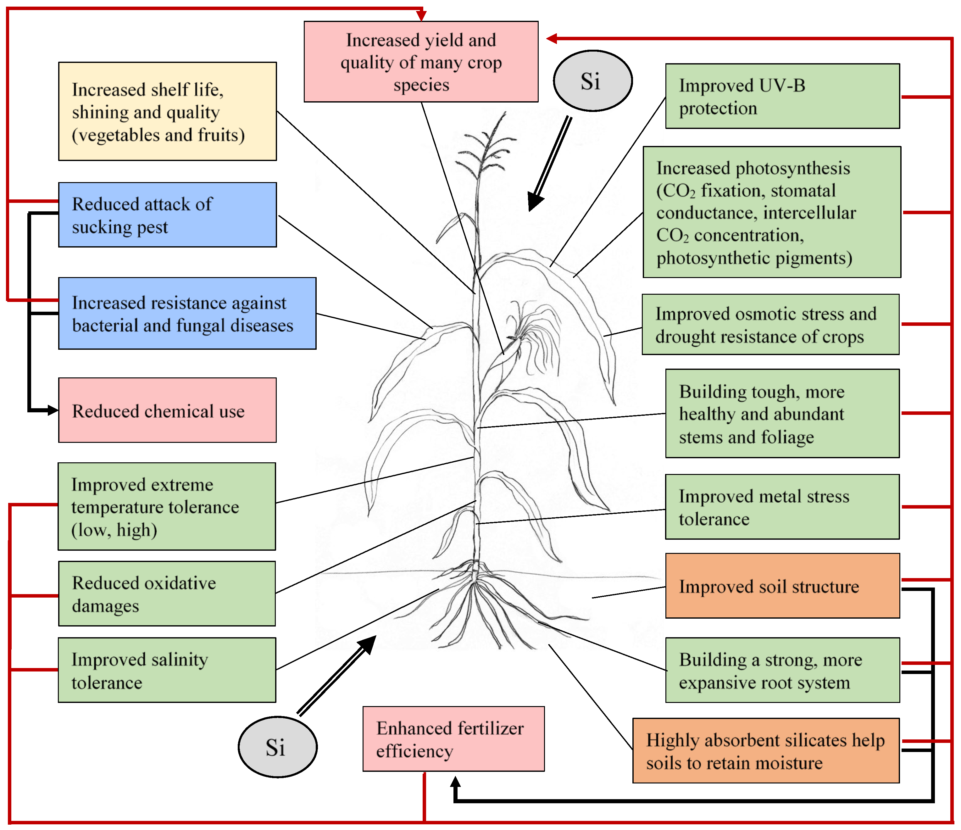 Plants 11 01223 g003 550