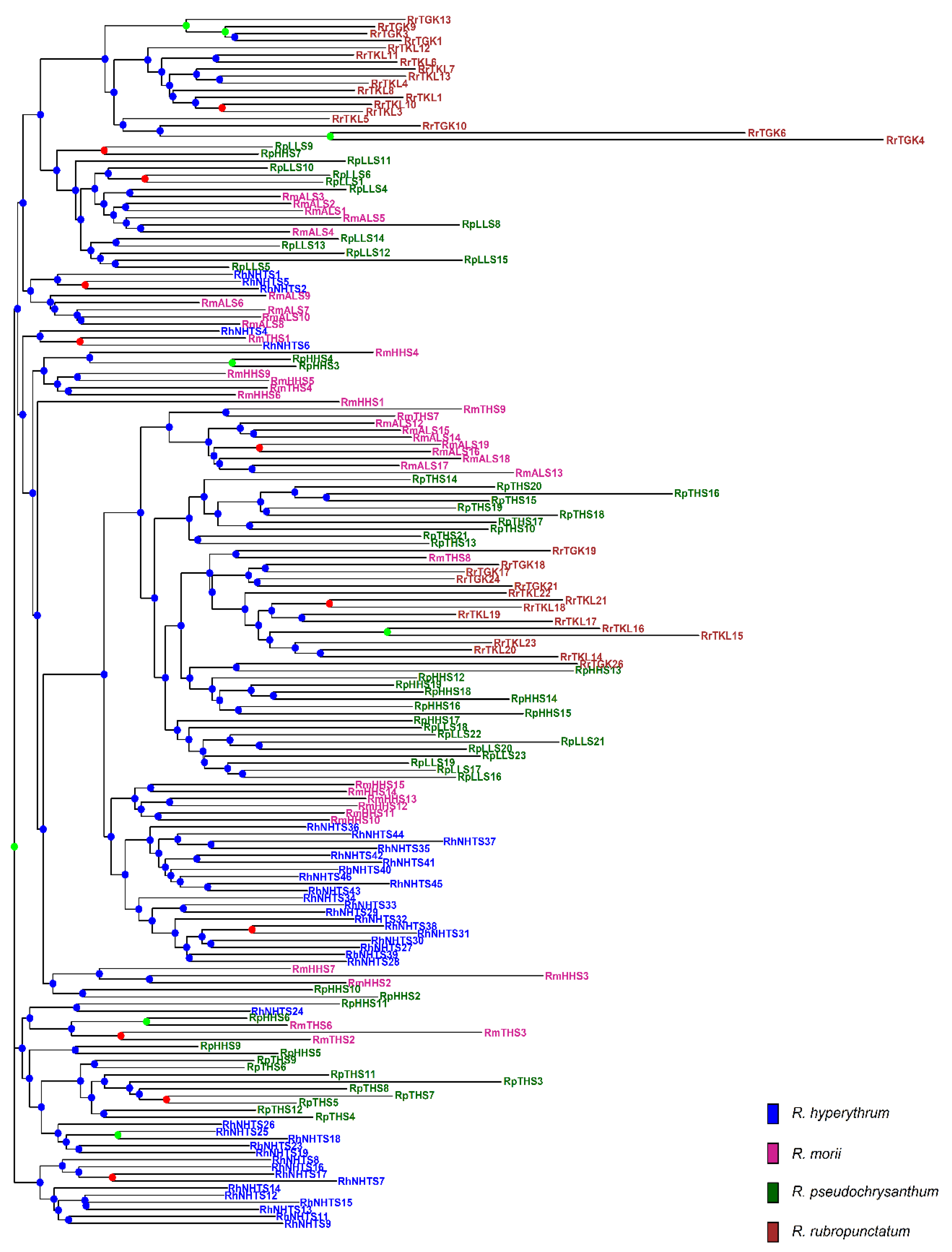 Plants 11 01226 g003 550