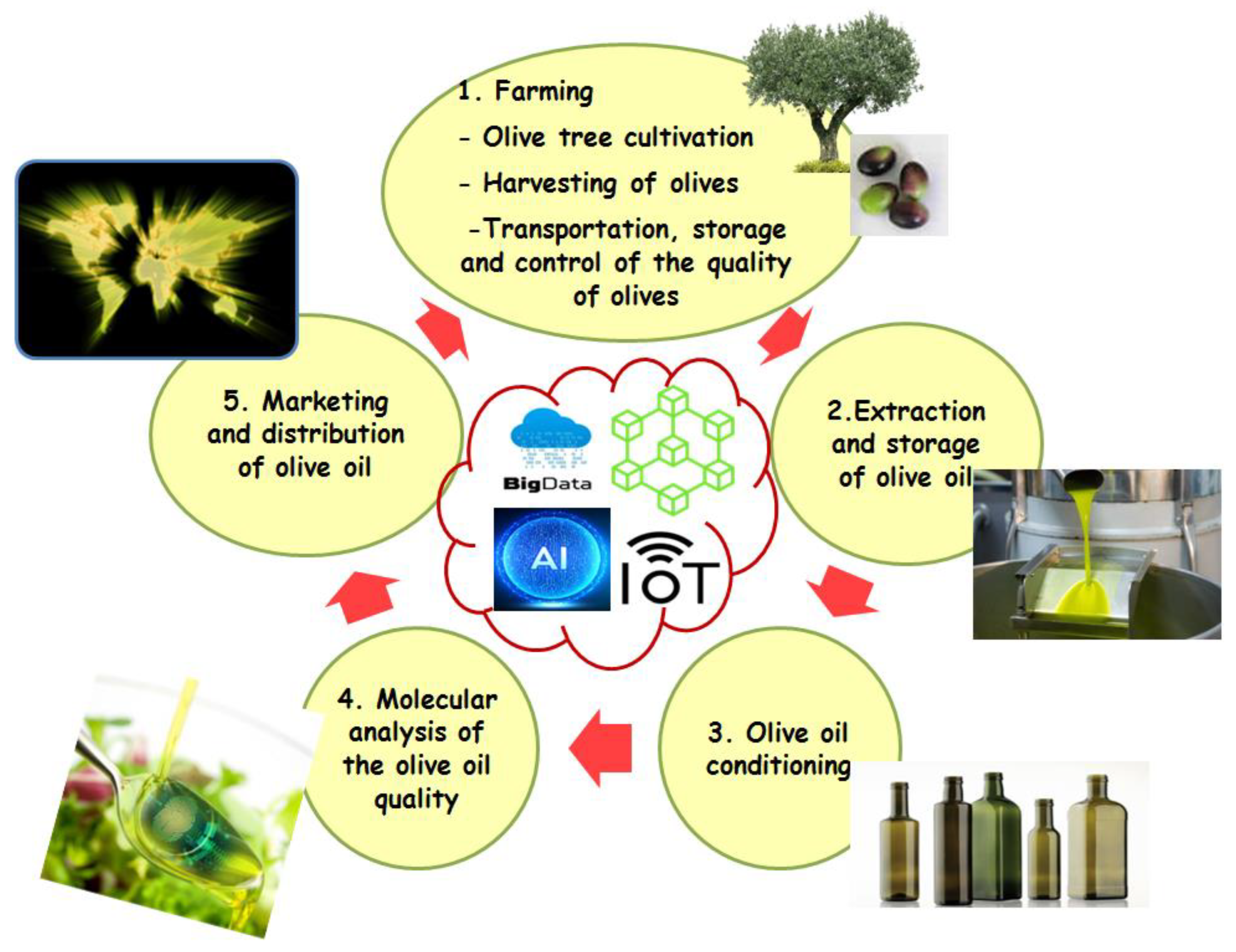 Plants 11 01230 g002