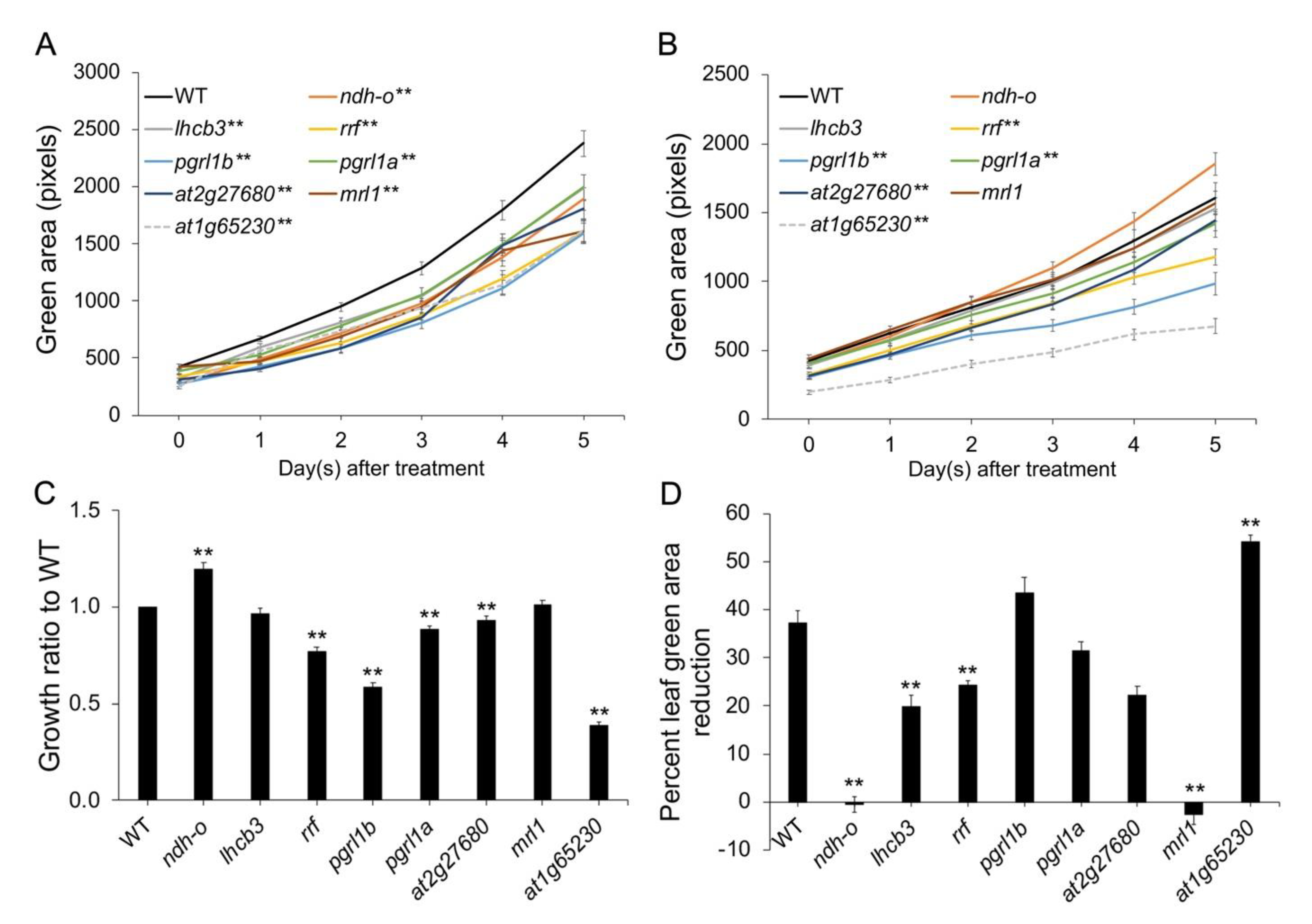 Plants 11 01233 g001 550