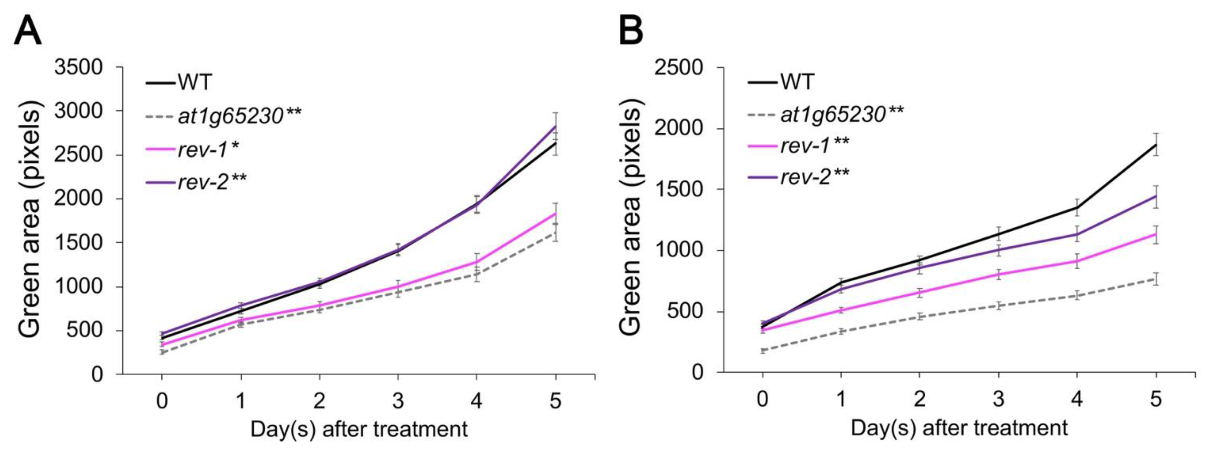 Plants 11 01233 g002 550