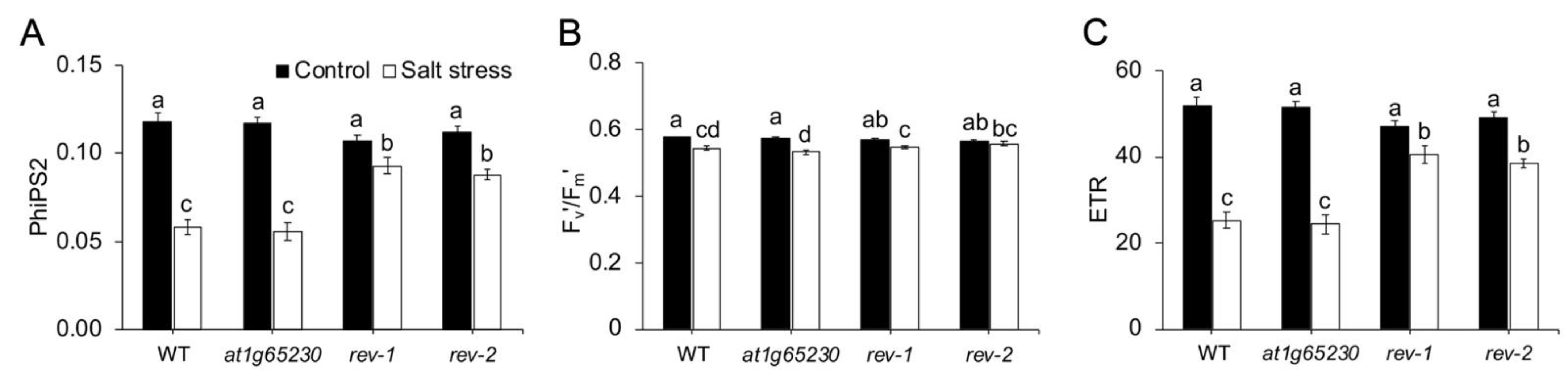 Plants 11 01233 g004 550