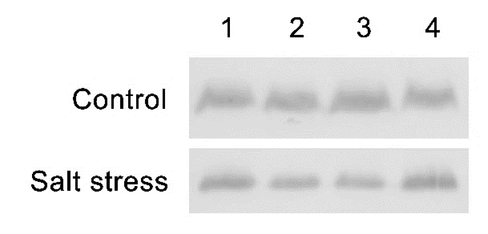 Plants 11 01233 g006 550