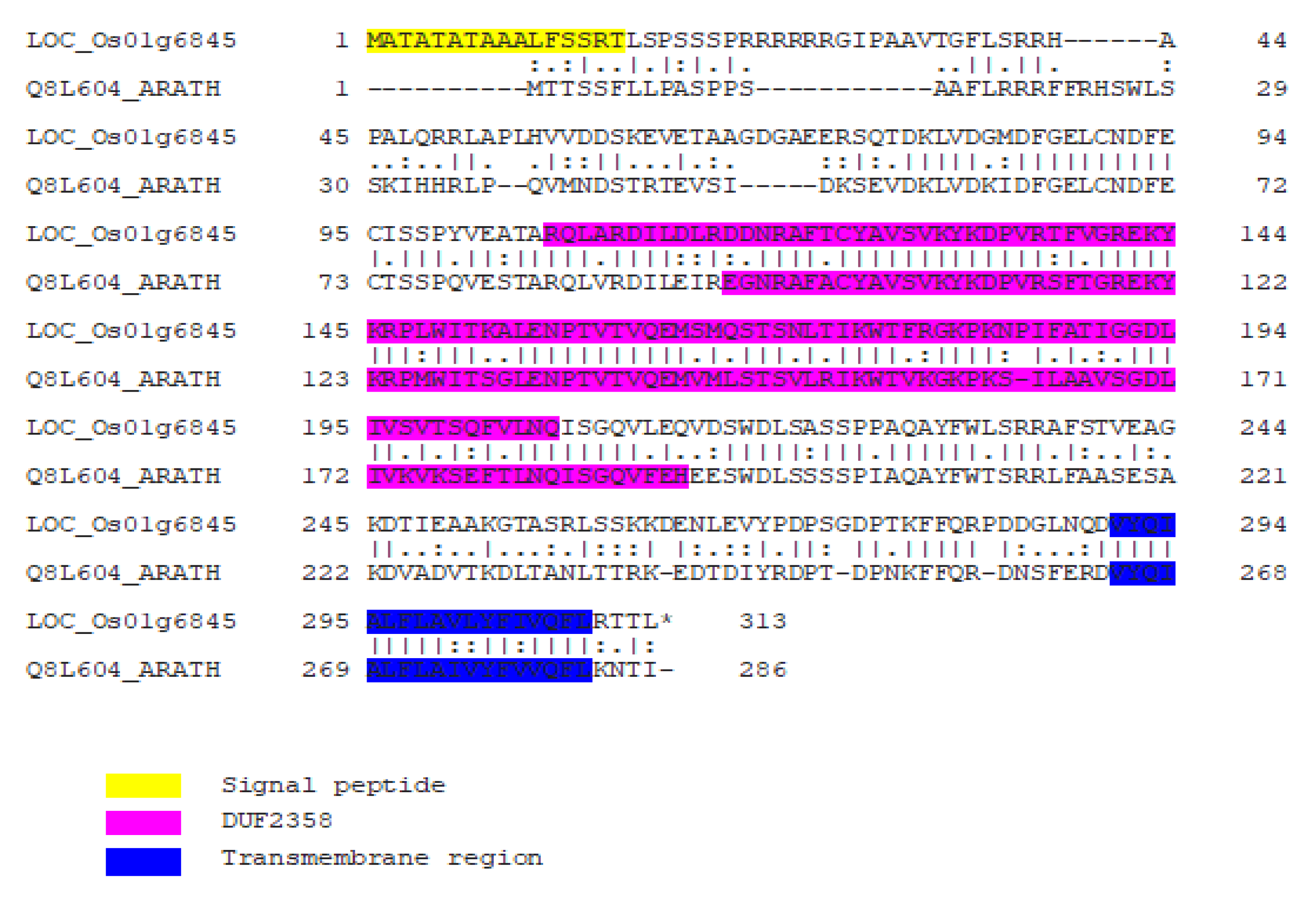 Plants 11 01233 g008 550