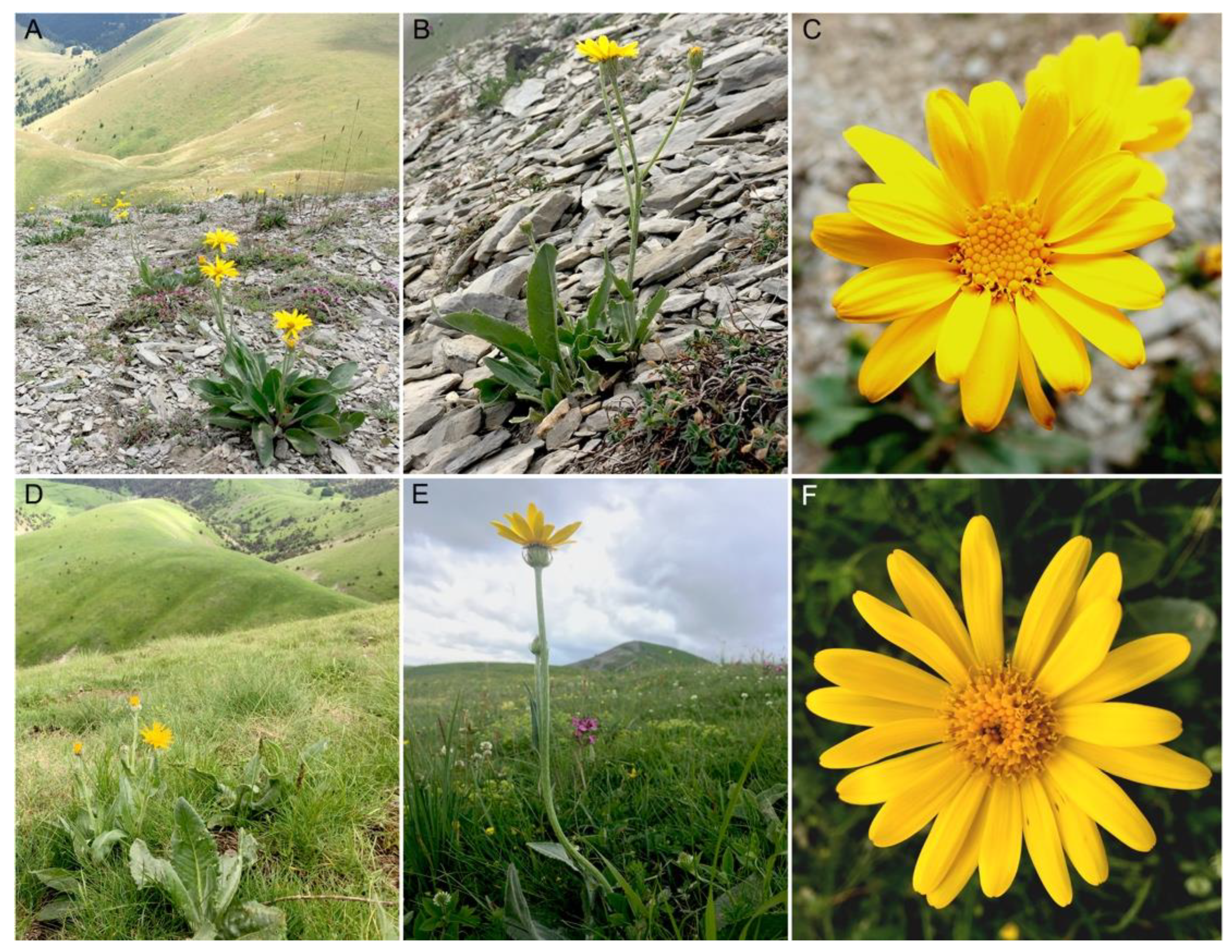 Plants 11 01235 g001 550