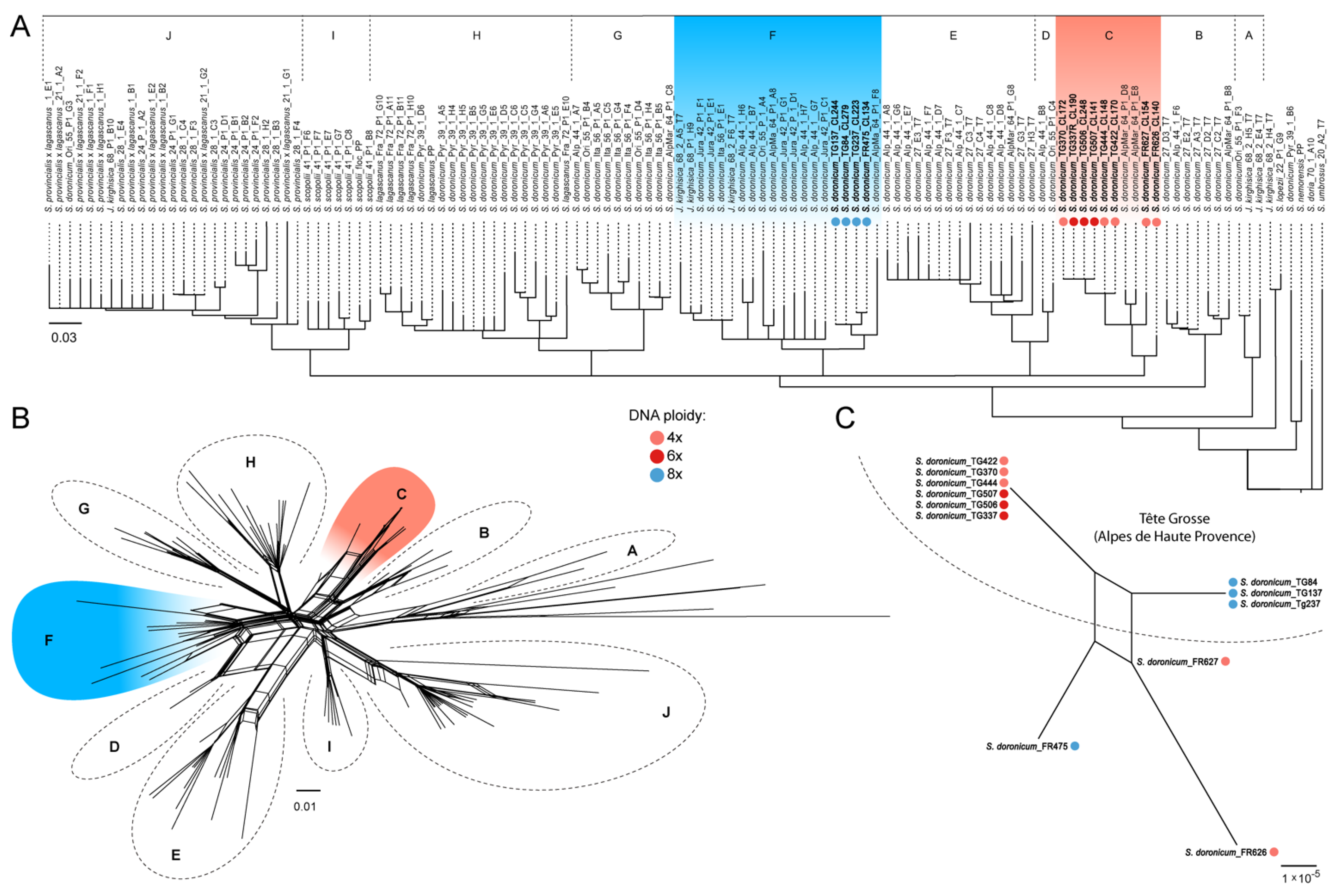 Plants 11 01235 g005 550