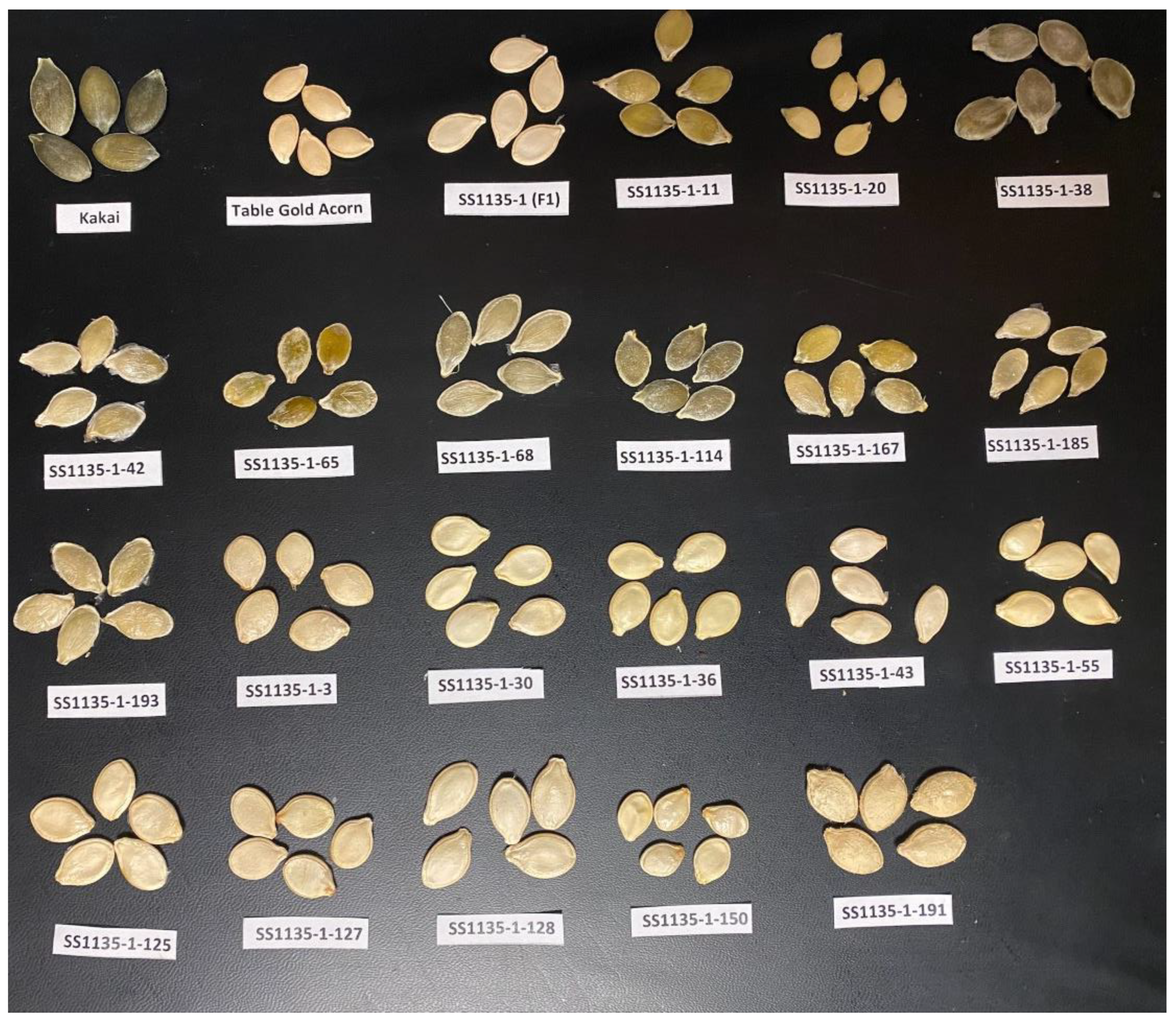 Plants 11 01238 g001 Plants 11 01238 g001