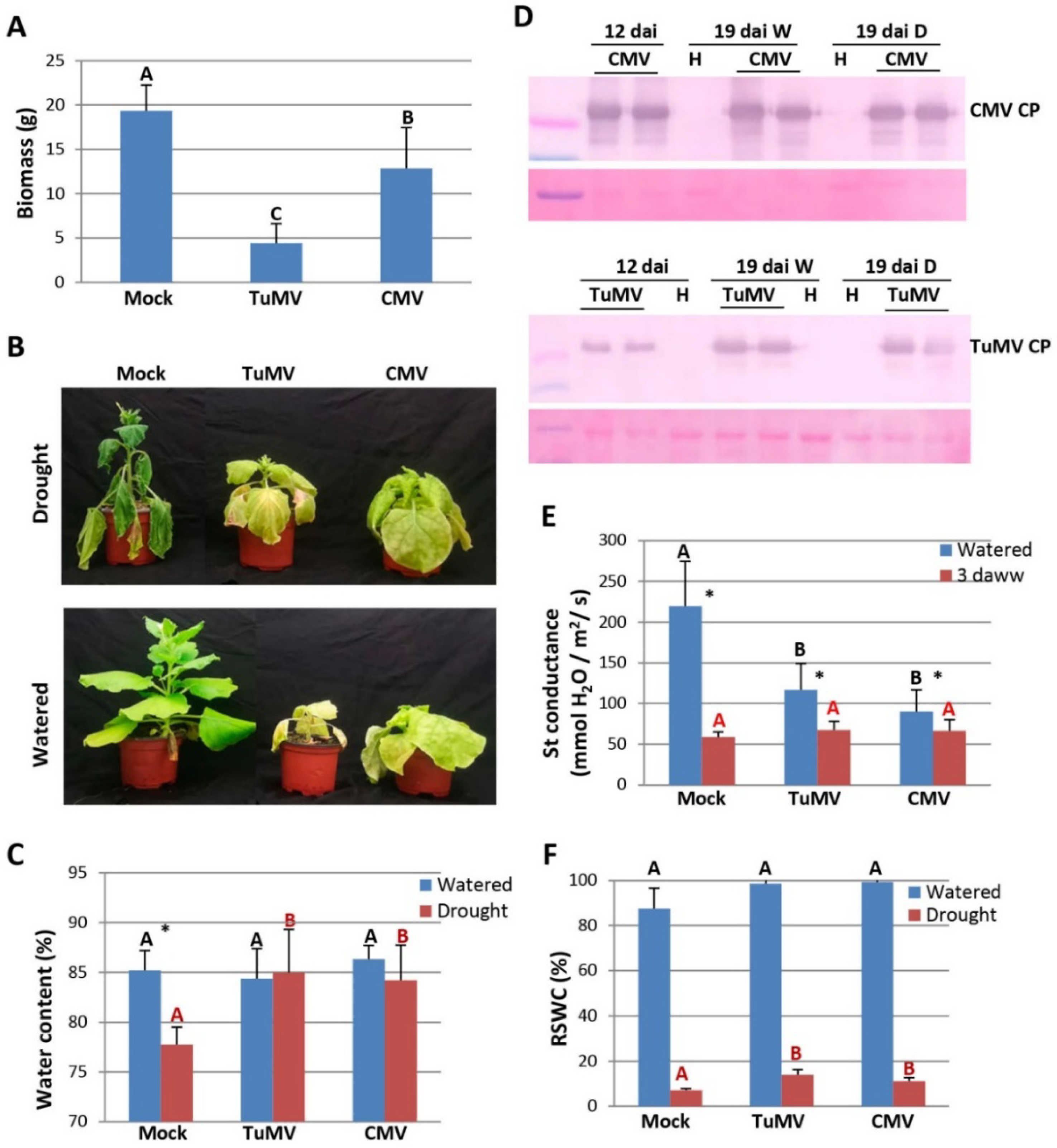 Plants 11 01240 g001