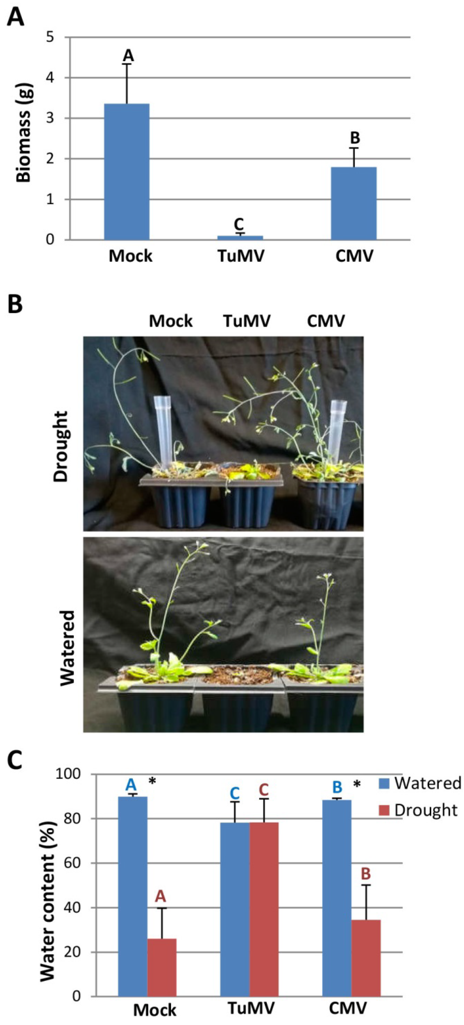 Plants 11 01240 g003