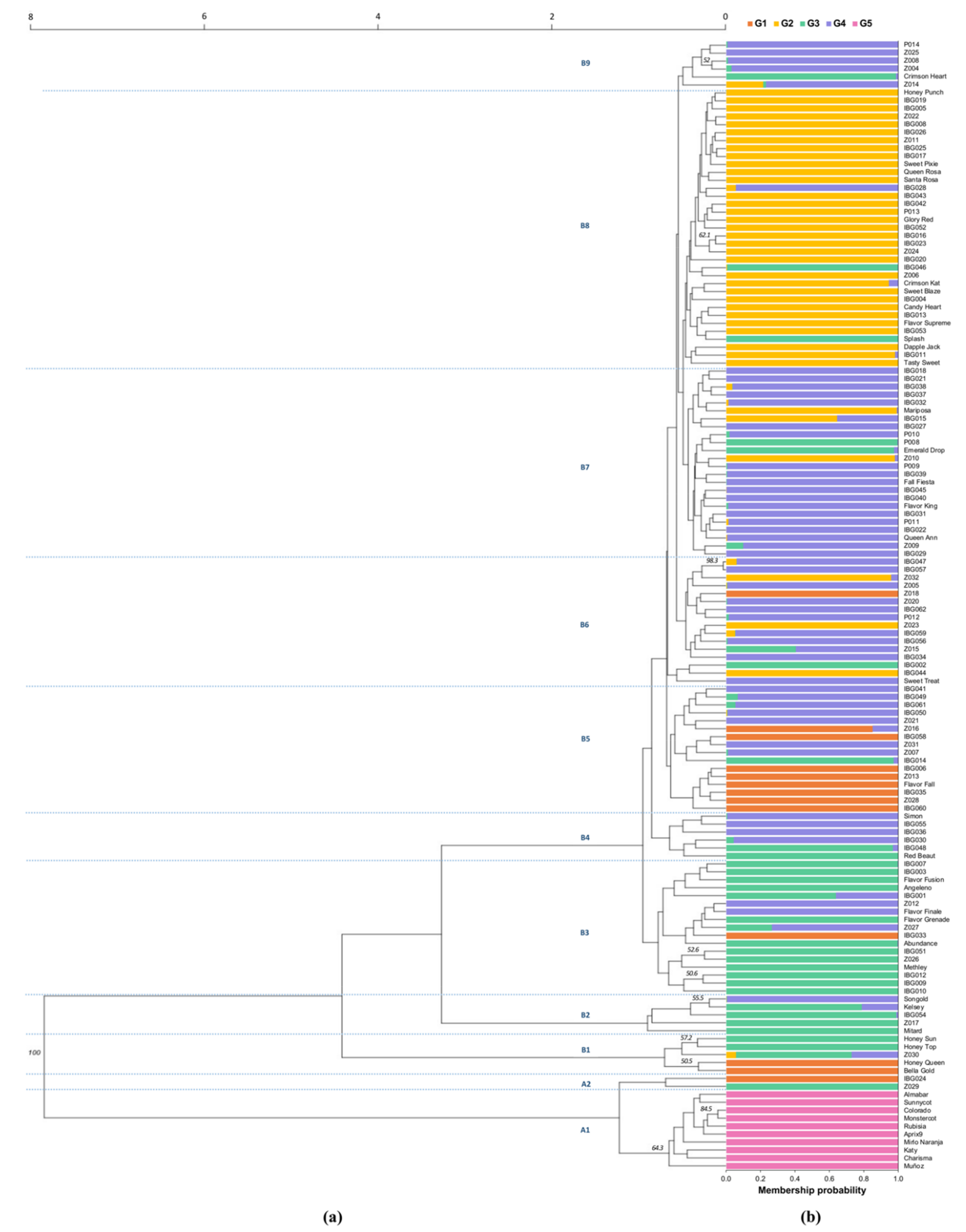 Plants 11 01241 g001