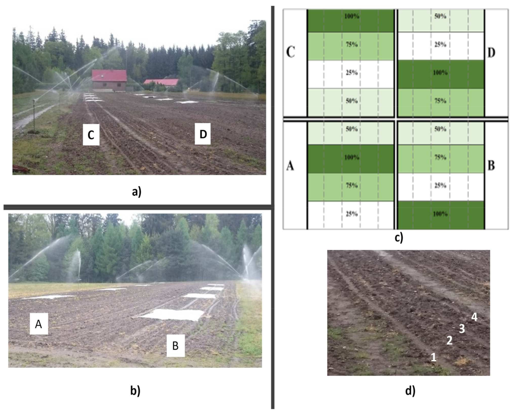 Plants 11 01248 g004