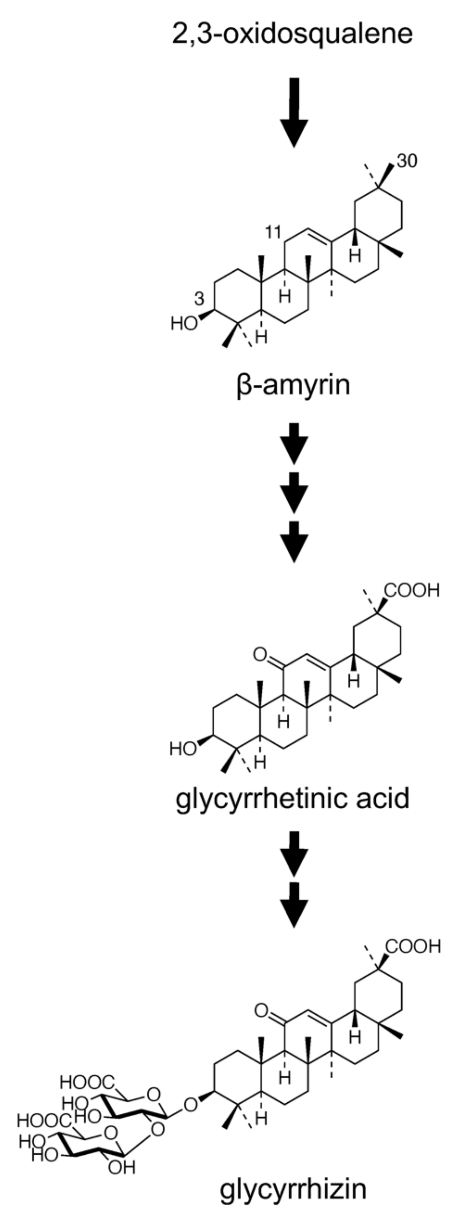 Plants 11 01250 g001
