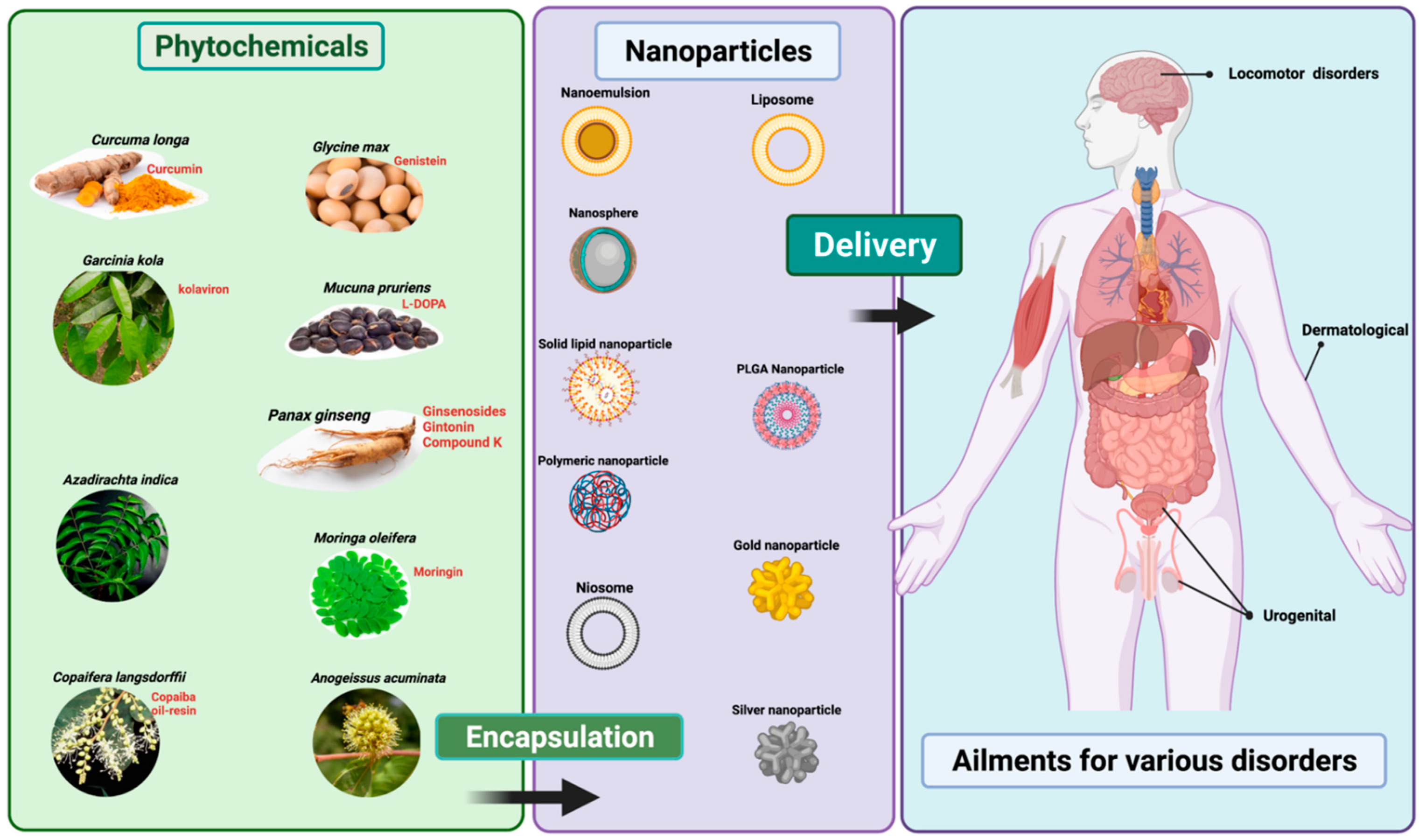 Plants 11 01265 g001 550
