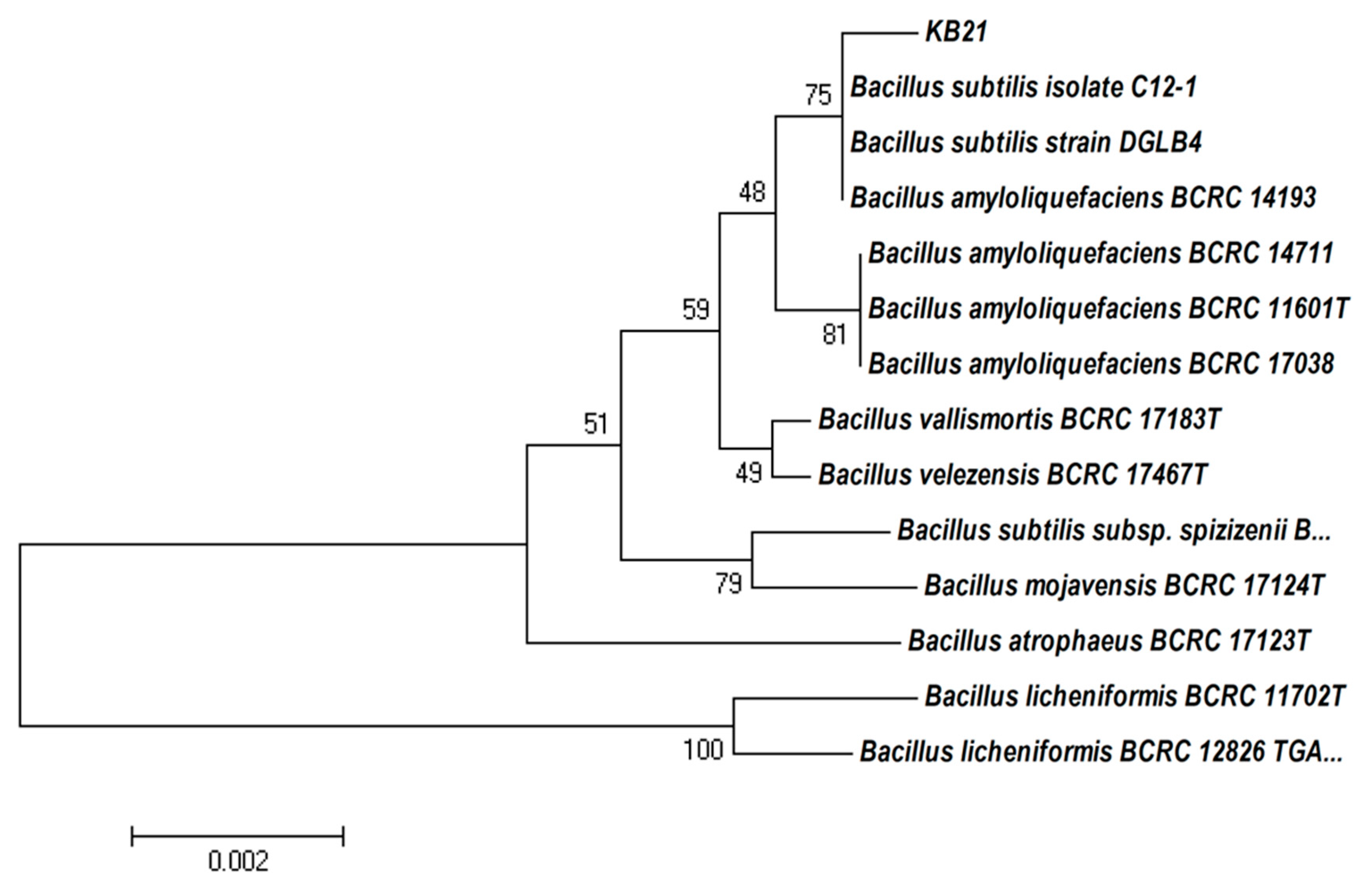 Plants 11 01267 g001 550