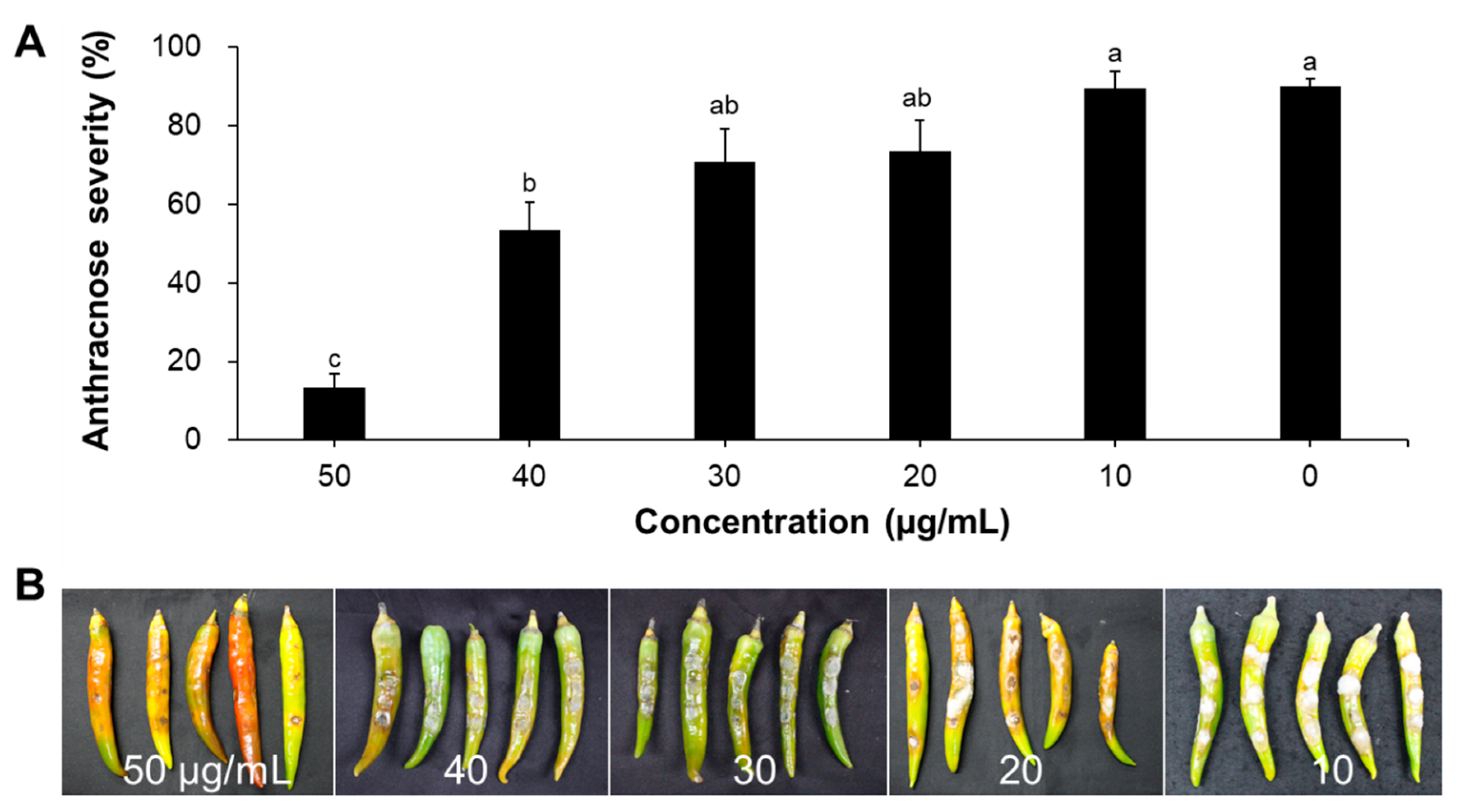 Plants 11 01267 g006 550