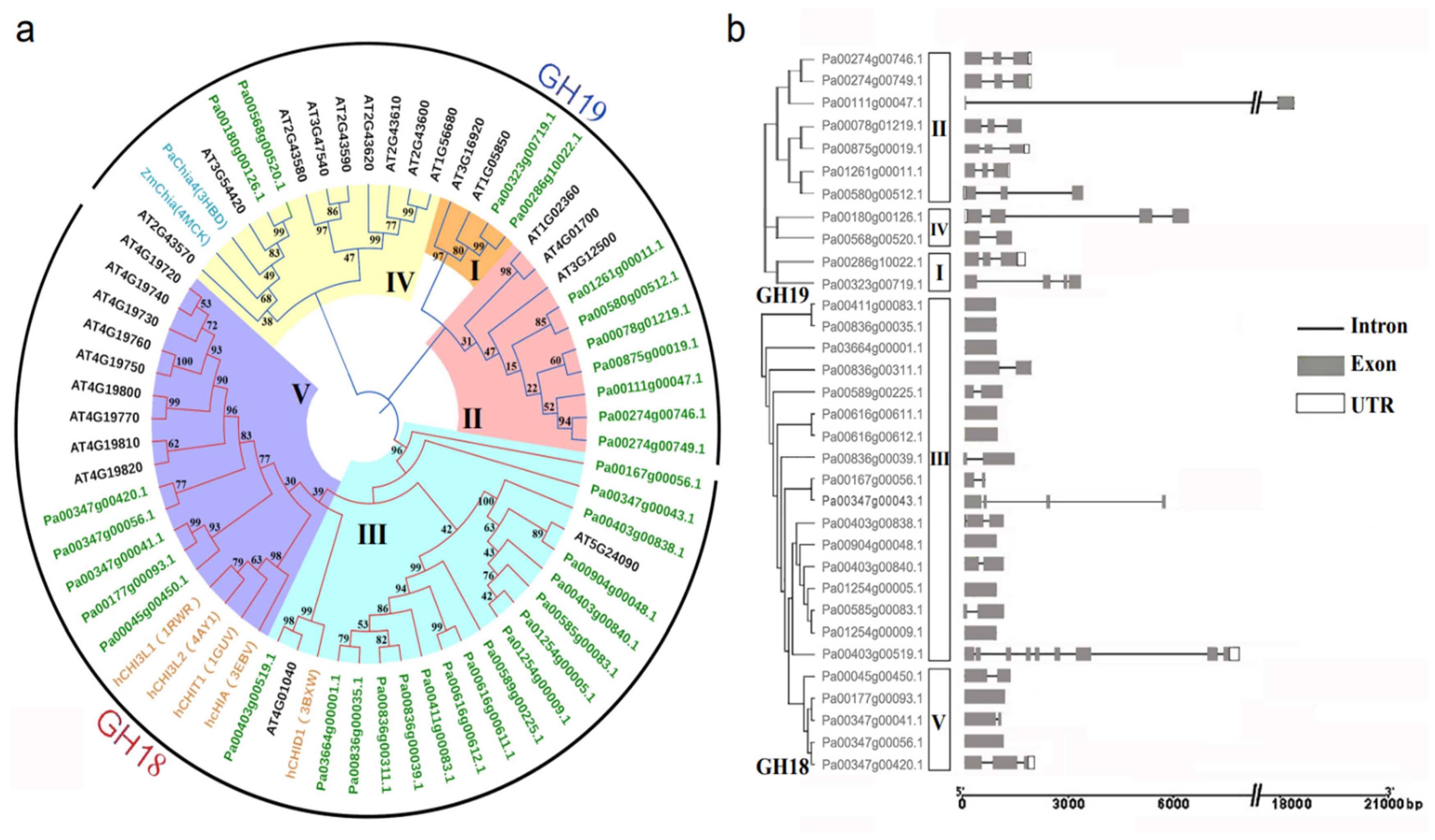 Plants 11 01269 g001 Plants 11 01269 g001