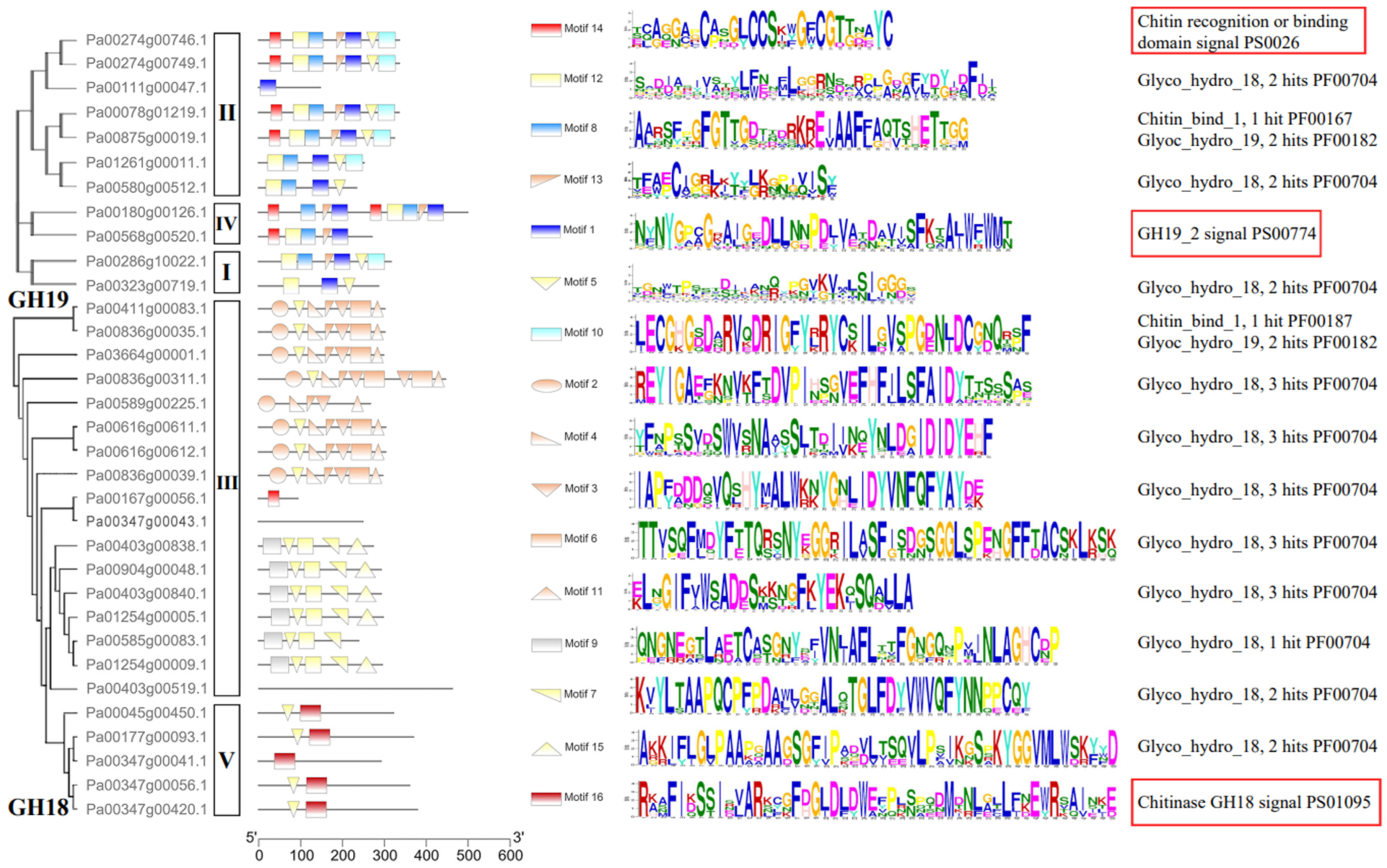 Plants 11 01269 g002 Plants 11 01269 g002