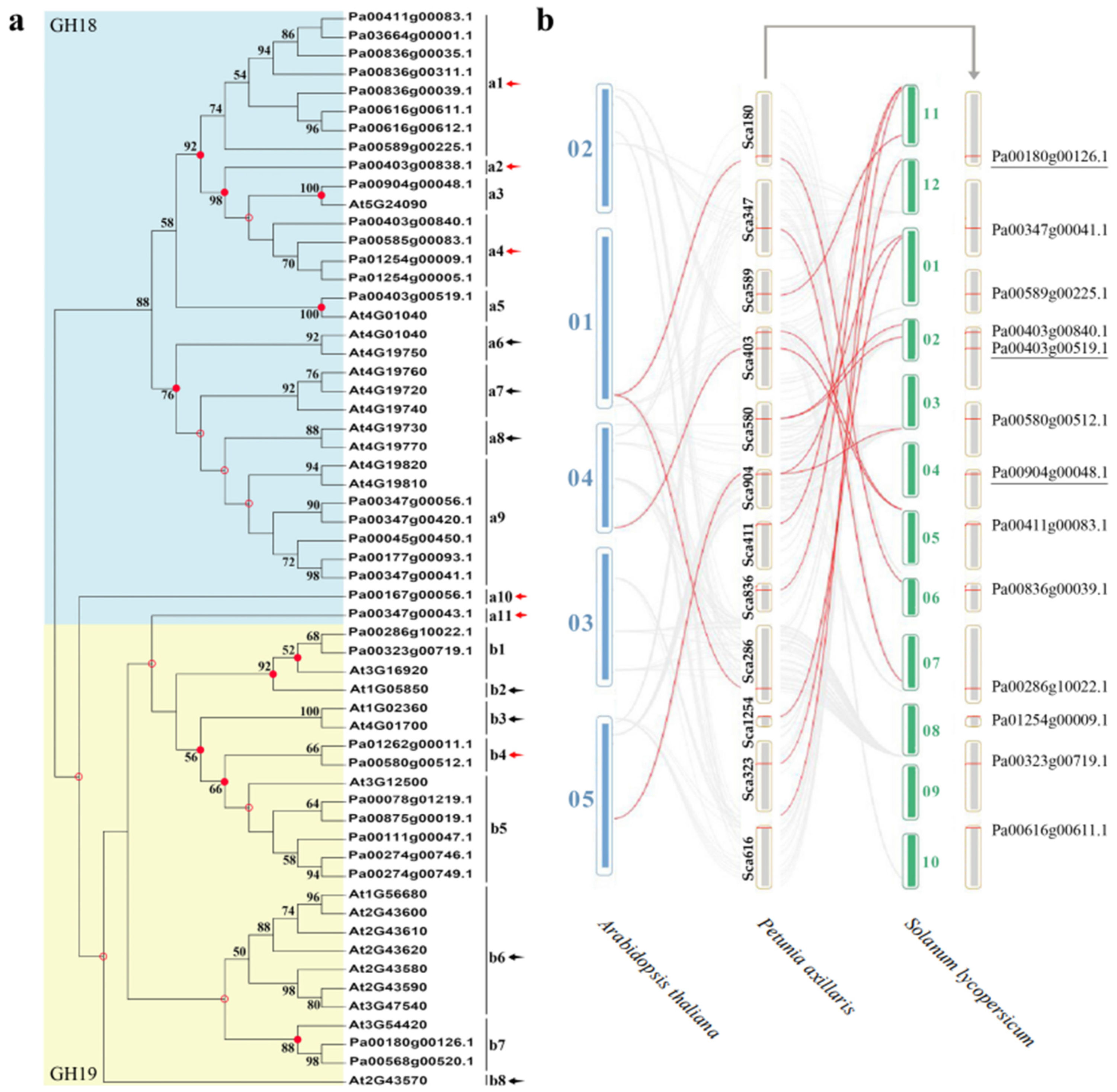 Plants 11 01269 g003 Plants 11 01269 g003