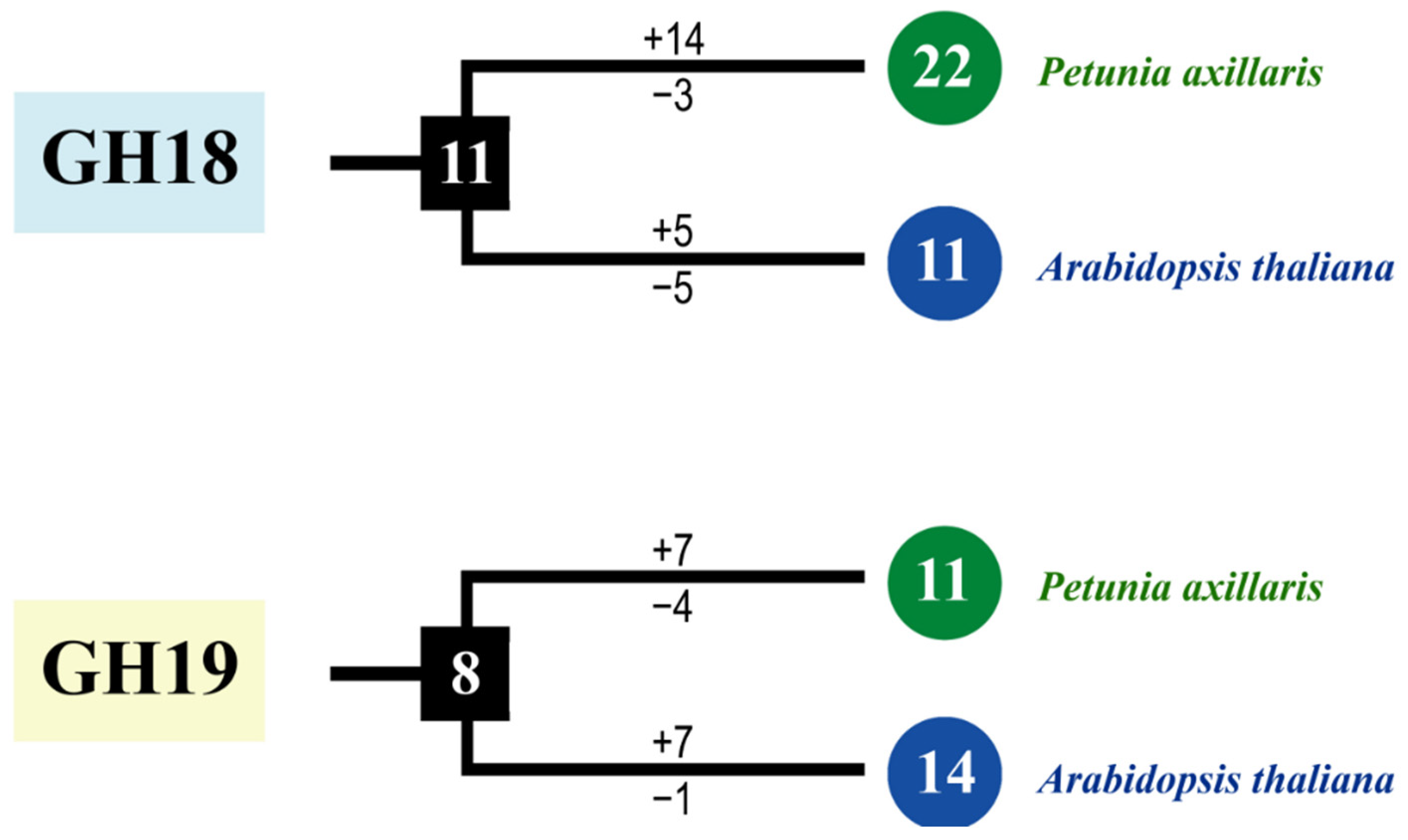 Plants 11 01269 g004 Plants 11 01269 g004