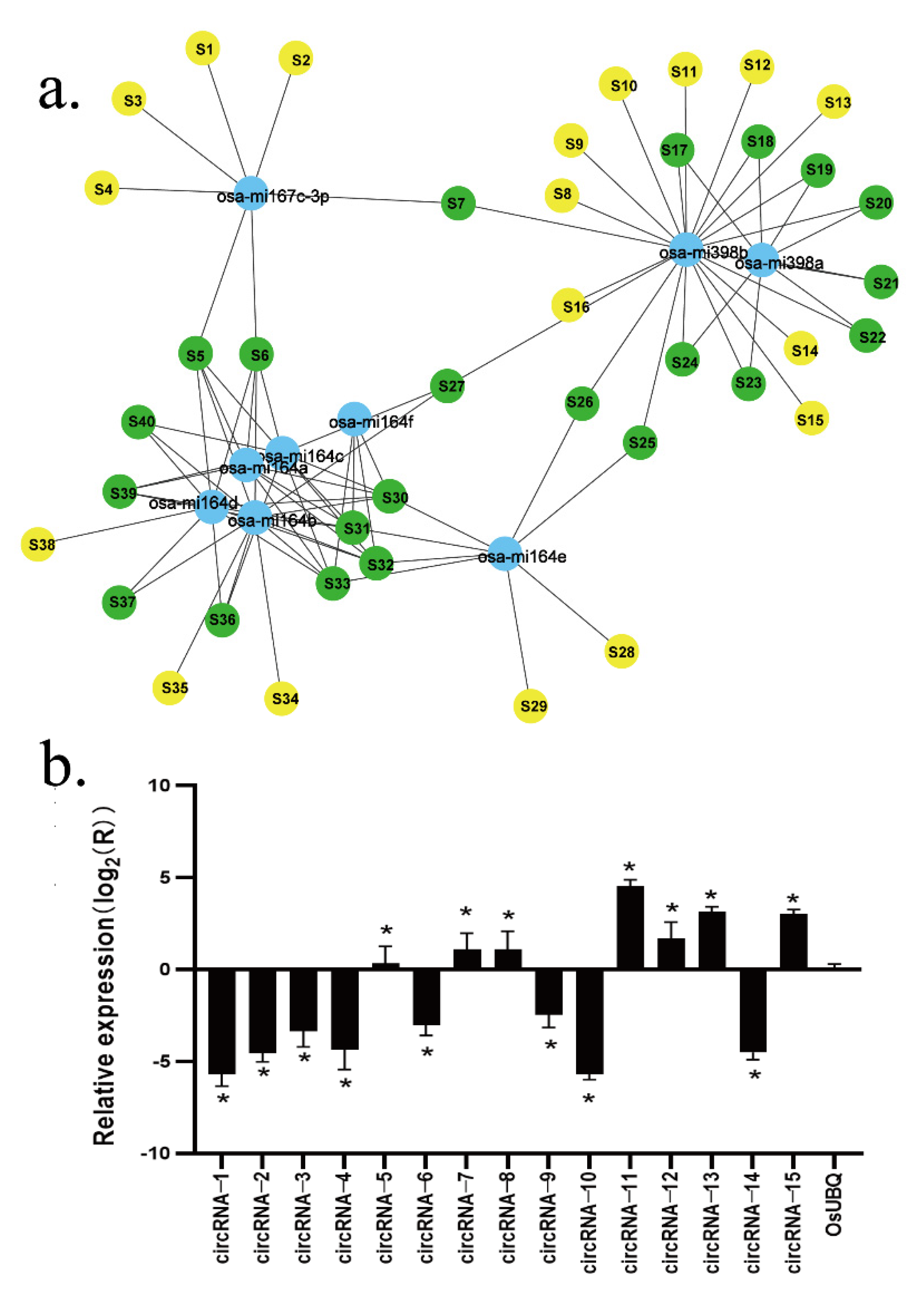 Plants 11 01272 g003 550