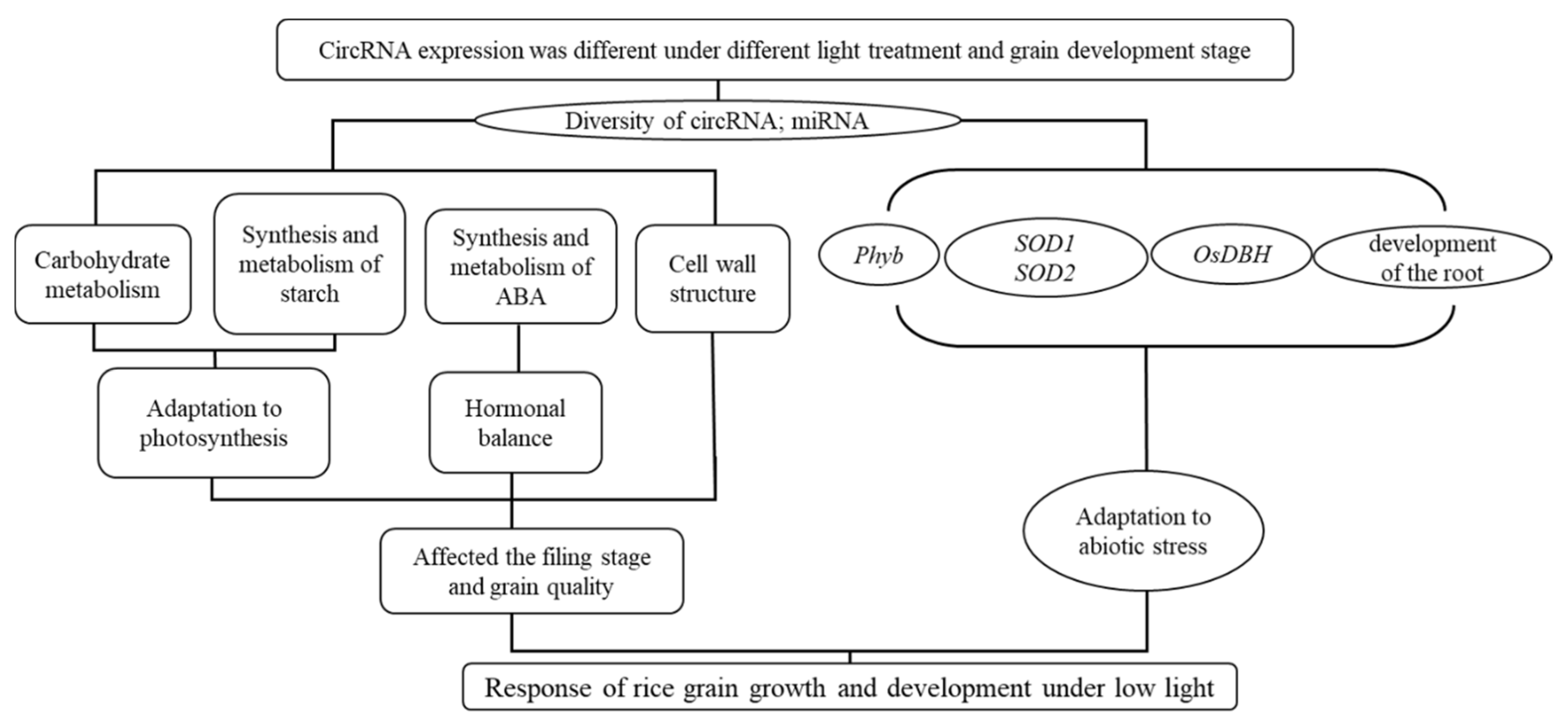 Plants 11 01272 g004 550