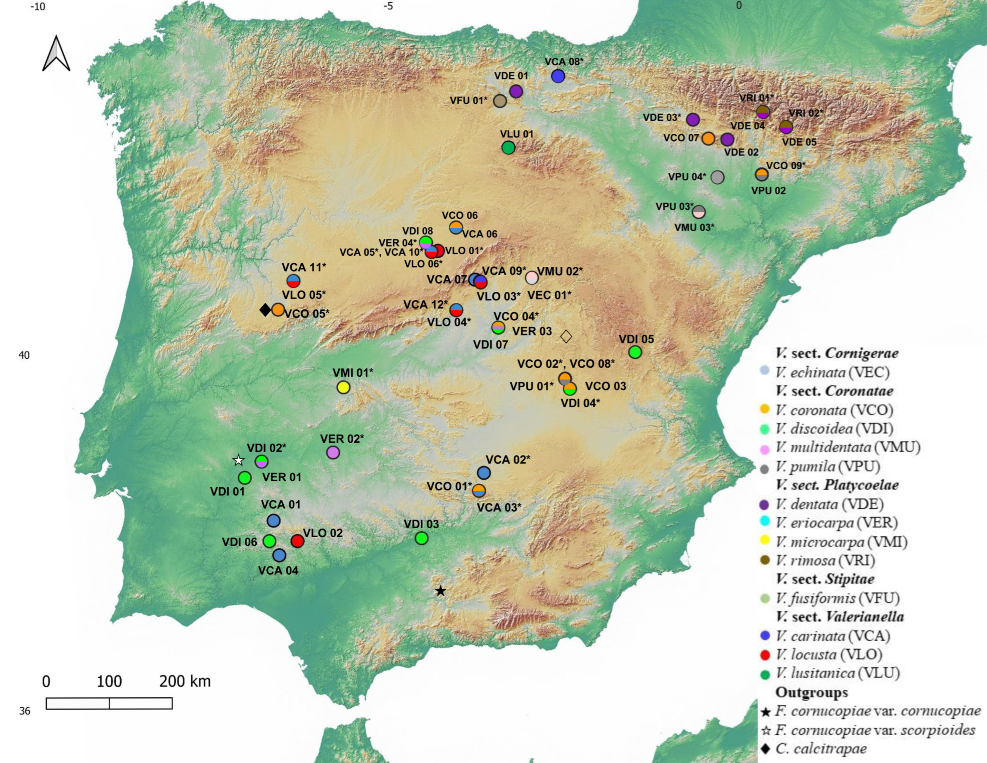 Plants 11 01276 g001 550