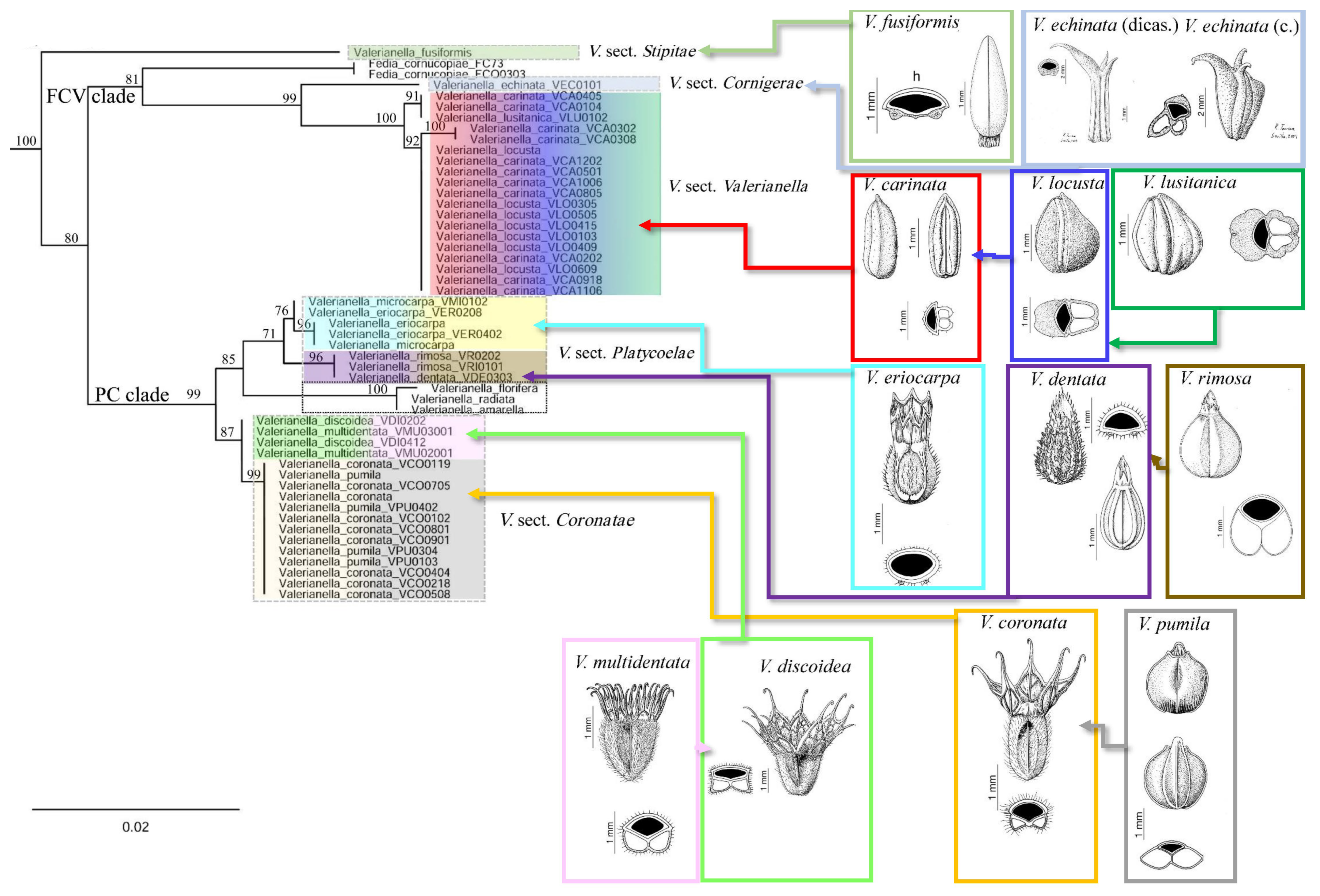 Plants 11 01276 g002 550