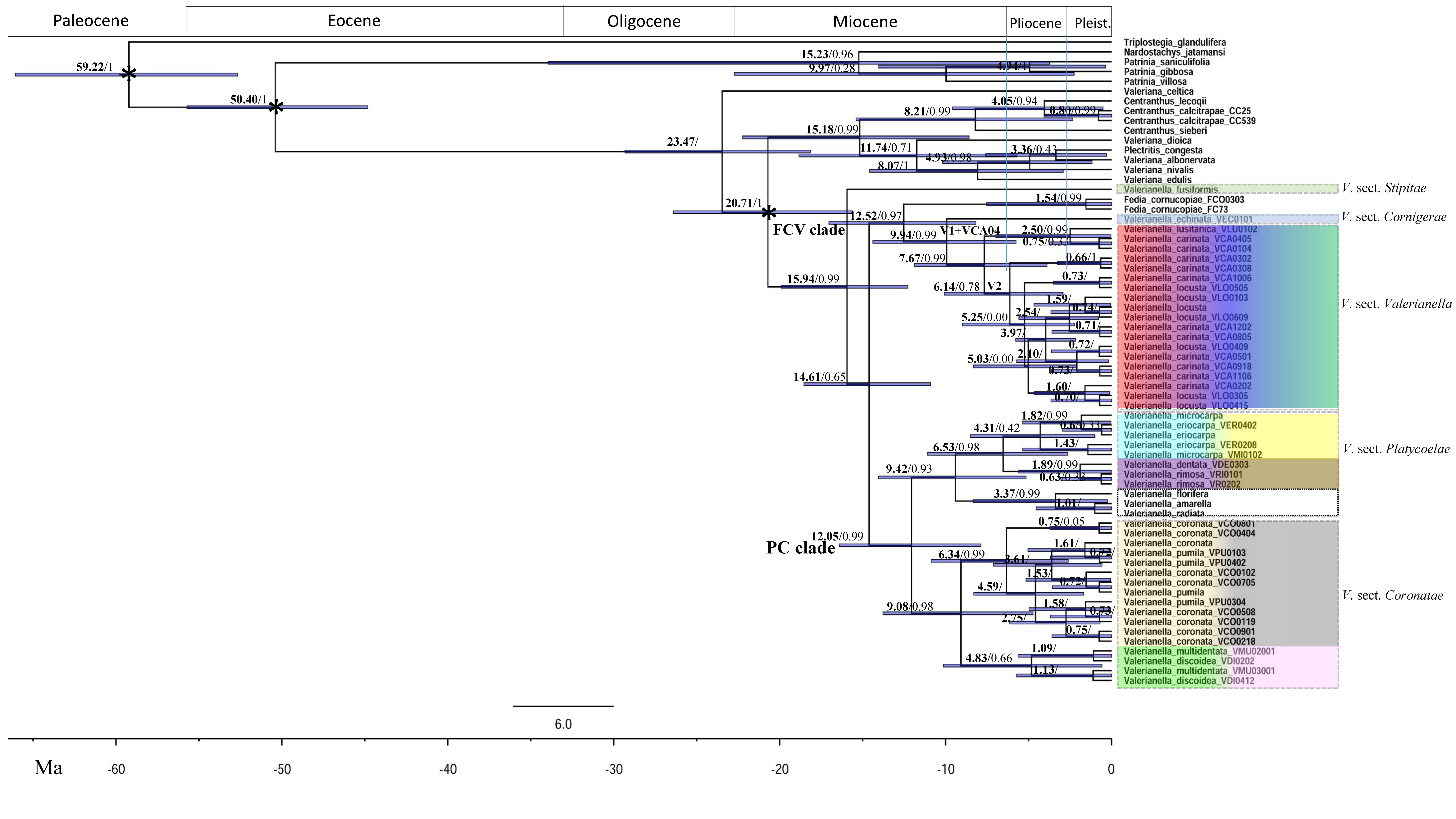 Plants 11 01276 g003 550