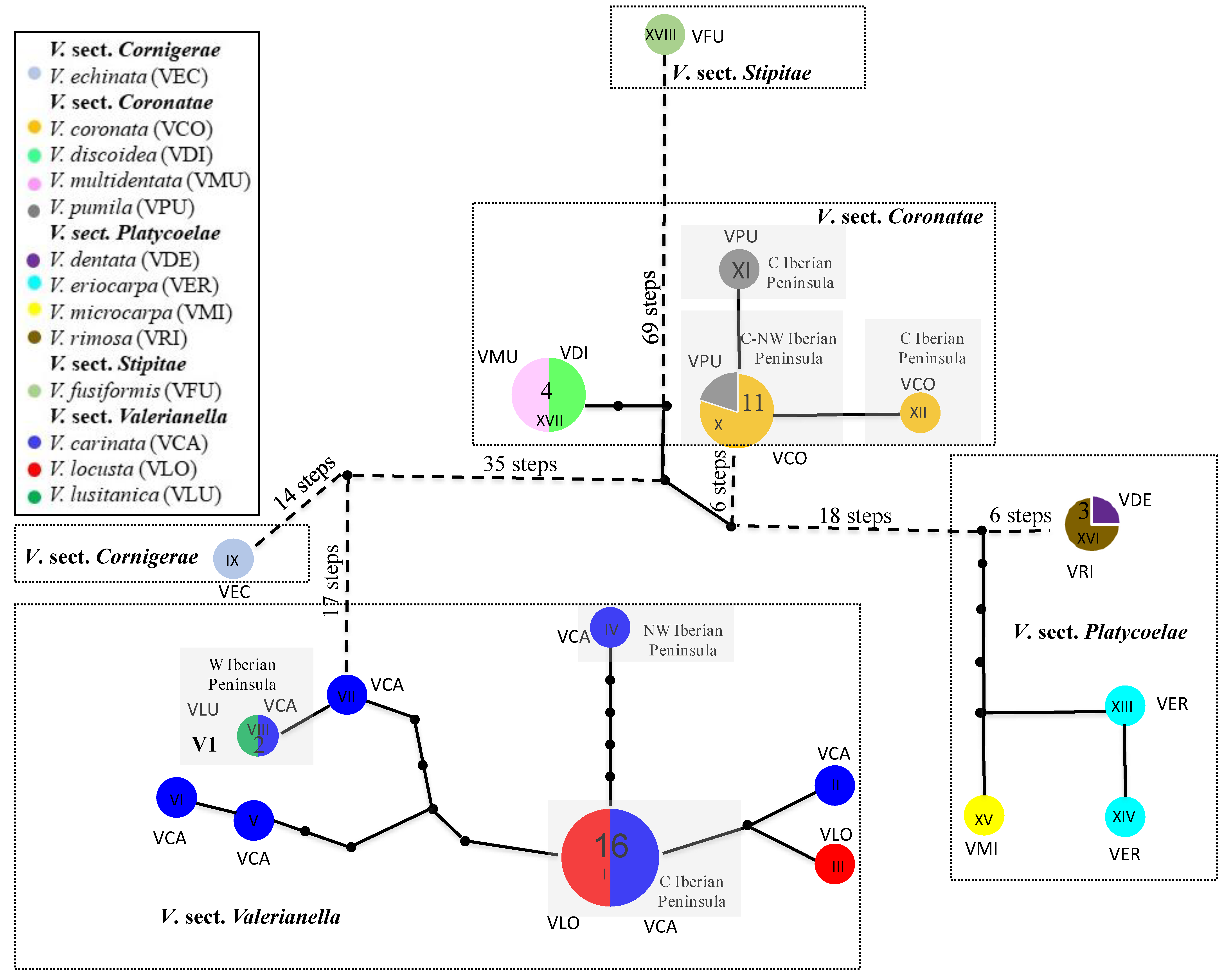 Plants 11 01276 g004 550