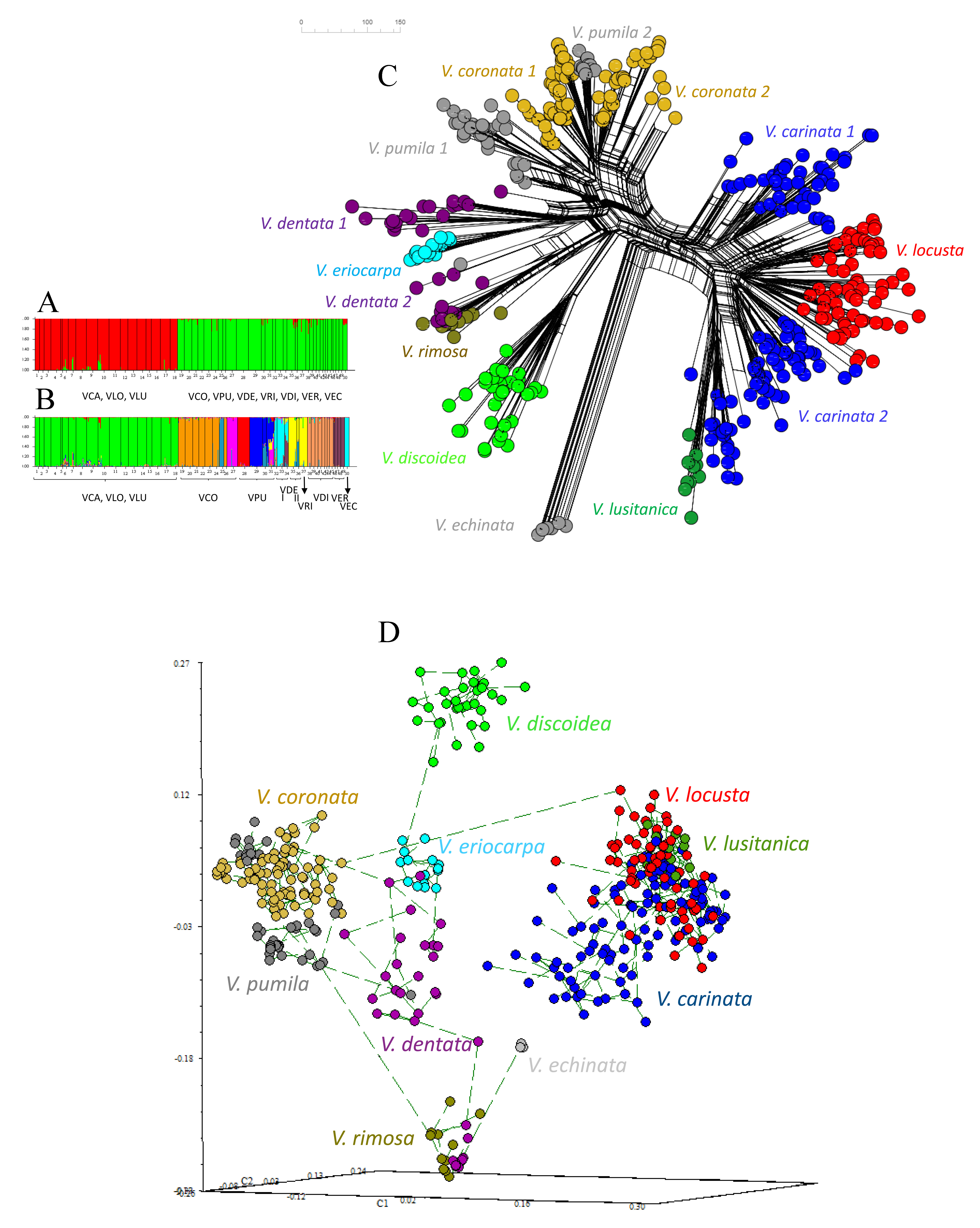 Plants 11 01276 g005 550