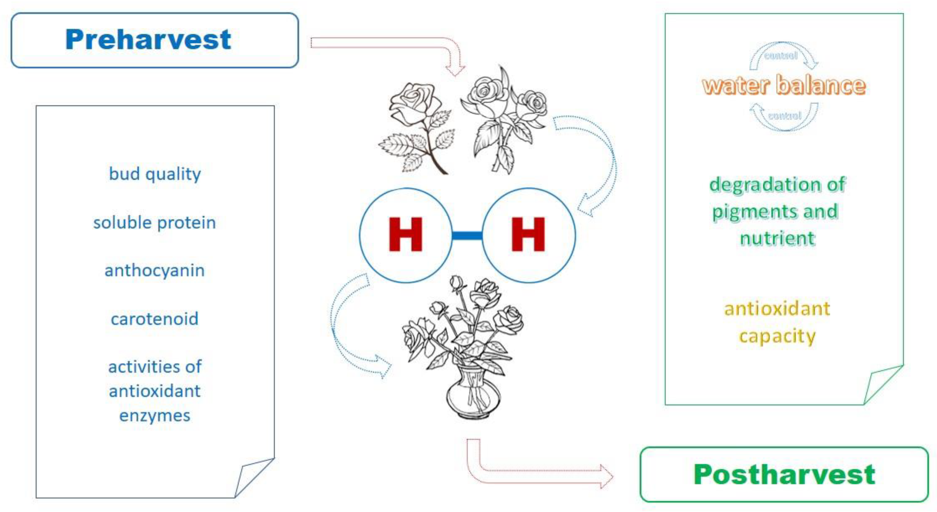 Plants 11 01277 g002