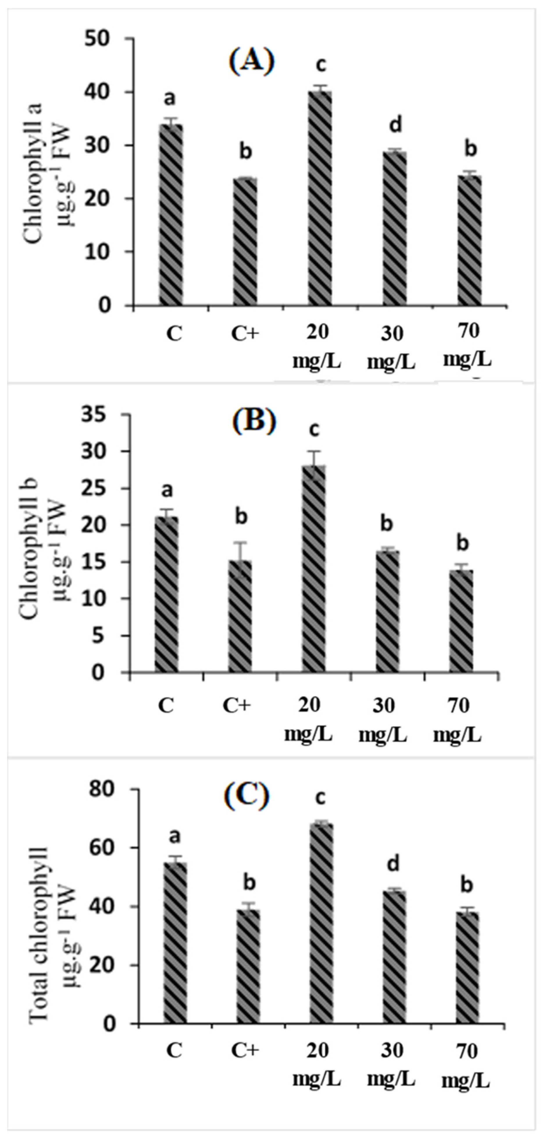 Plants 11 01283 g001 550
