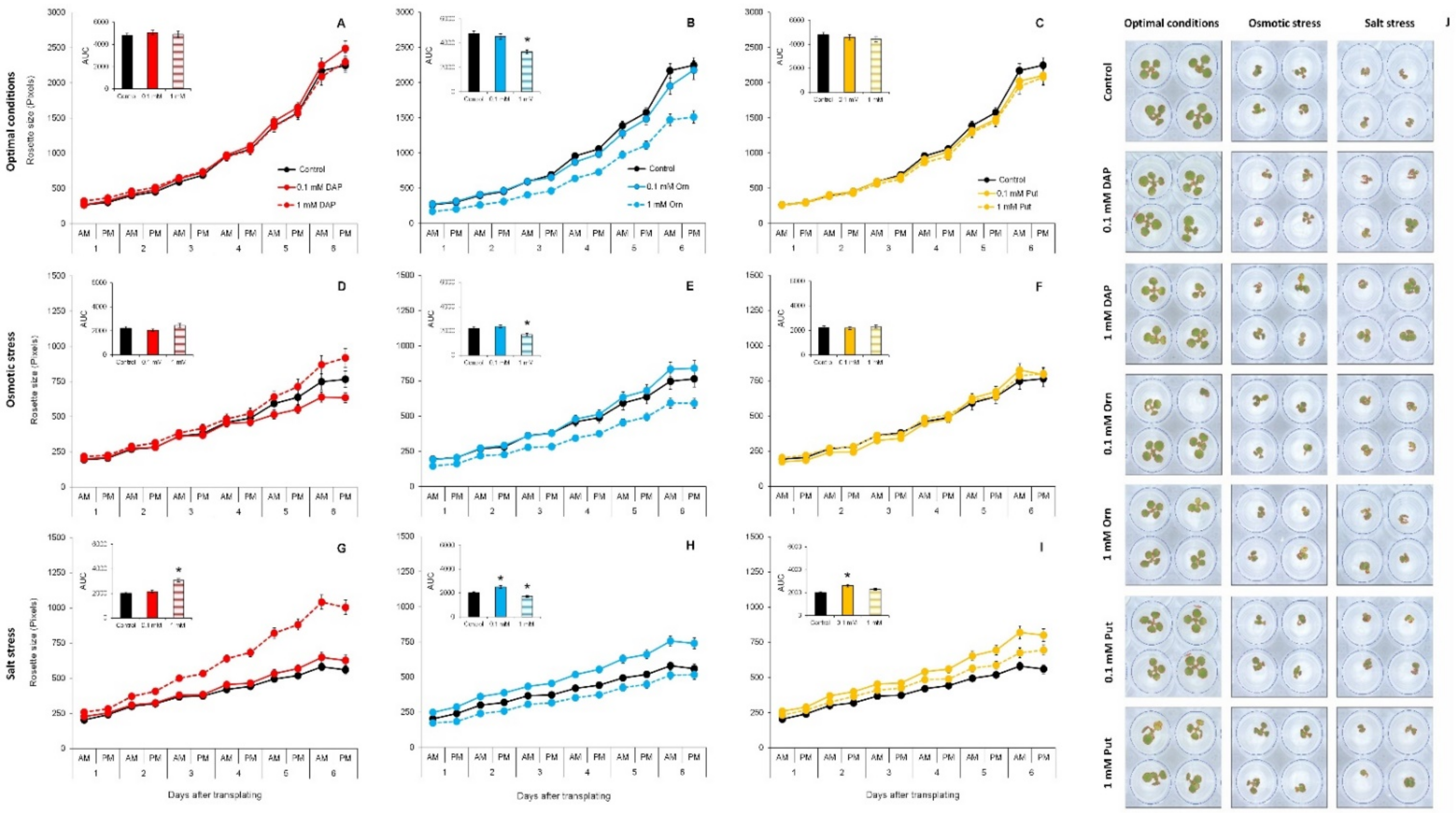 Plants 11 01287 g001