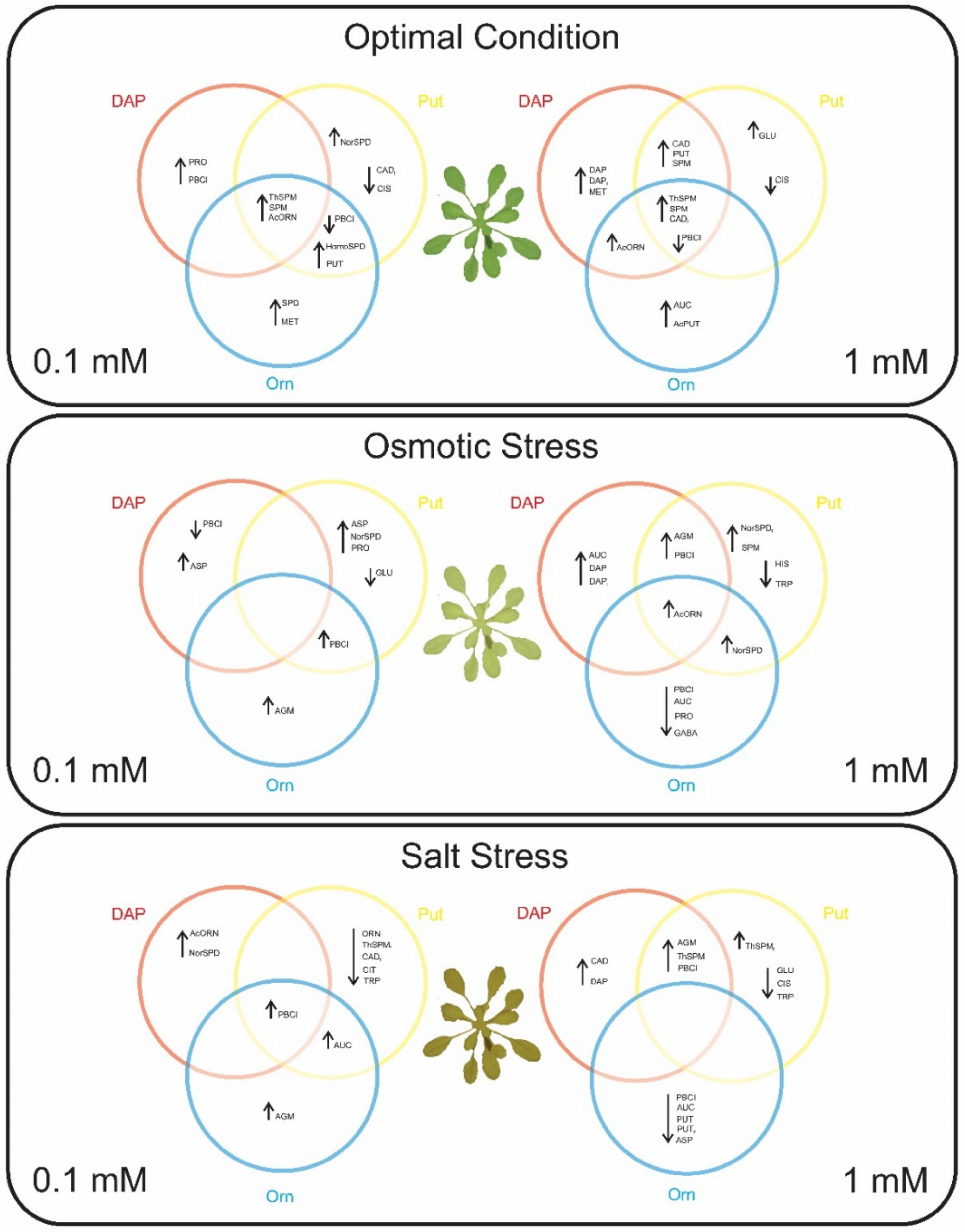 Plants 11 01287 g007