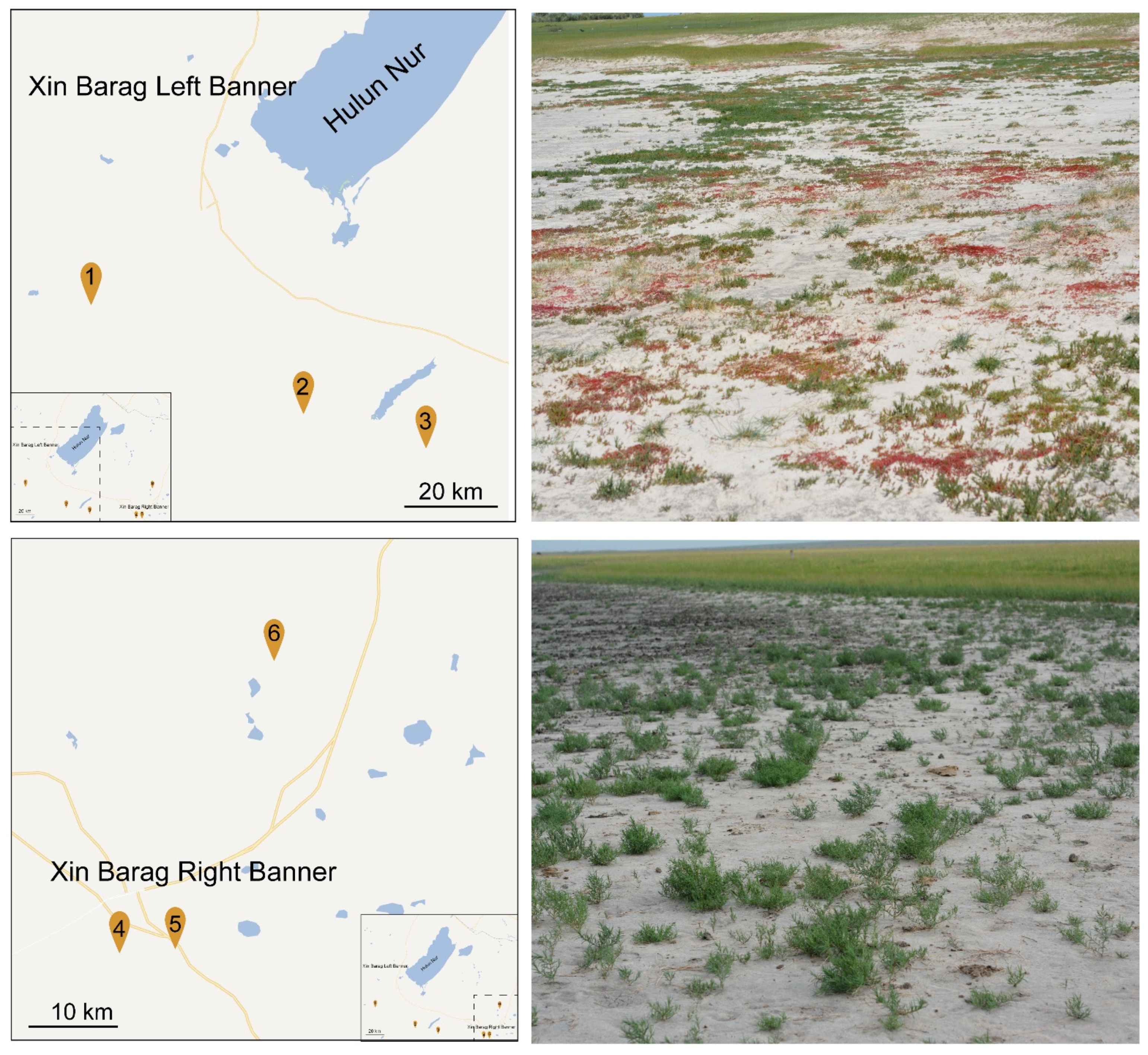 Plants 11 01288 g005 550