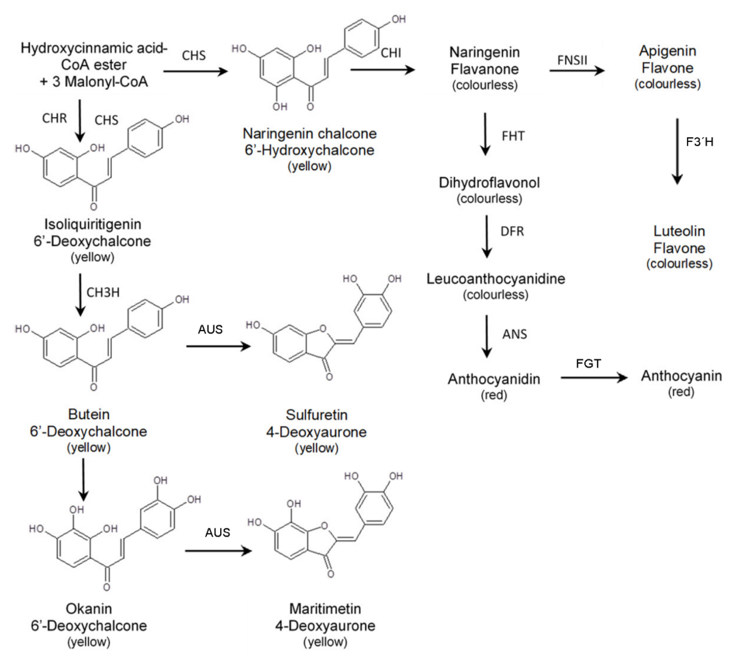 Plants 11 01289 g003