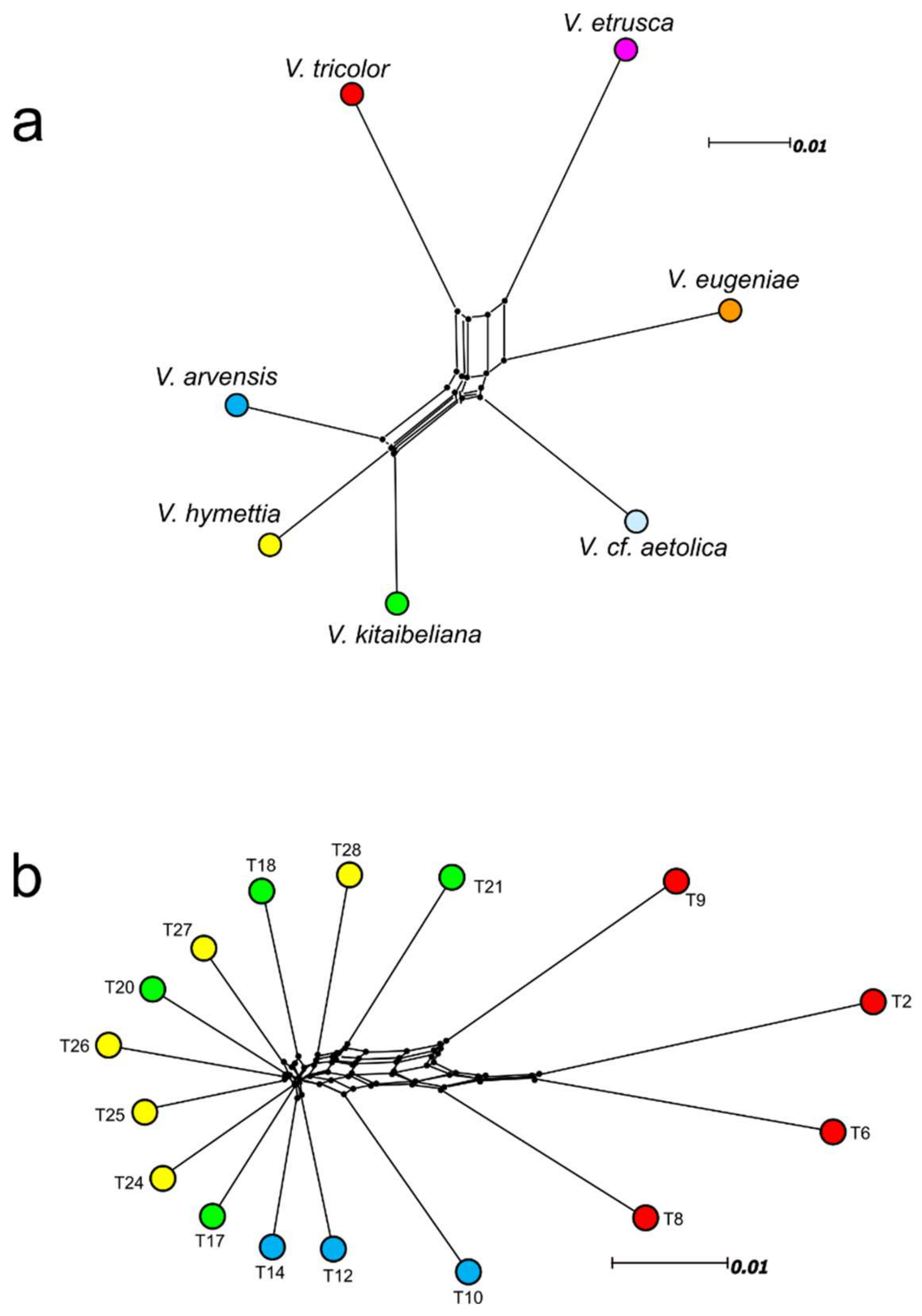 Plants 11 01294 g003