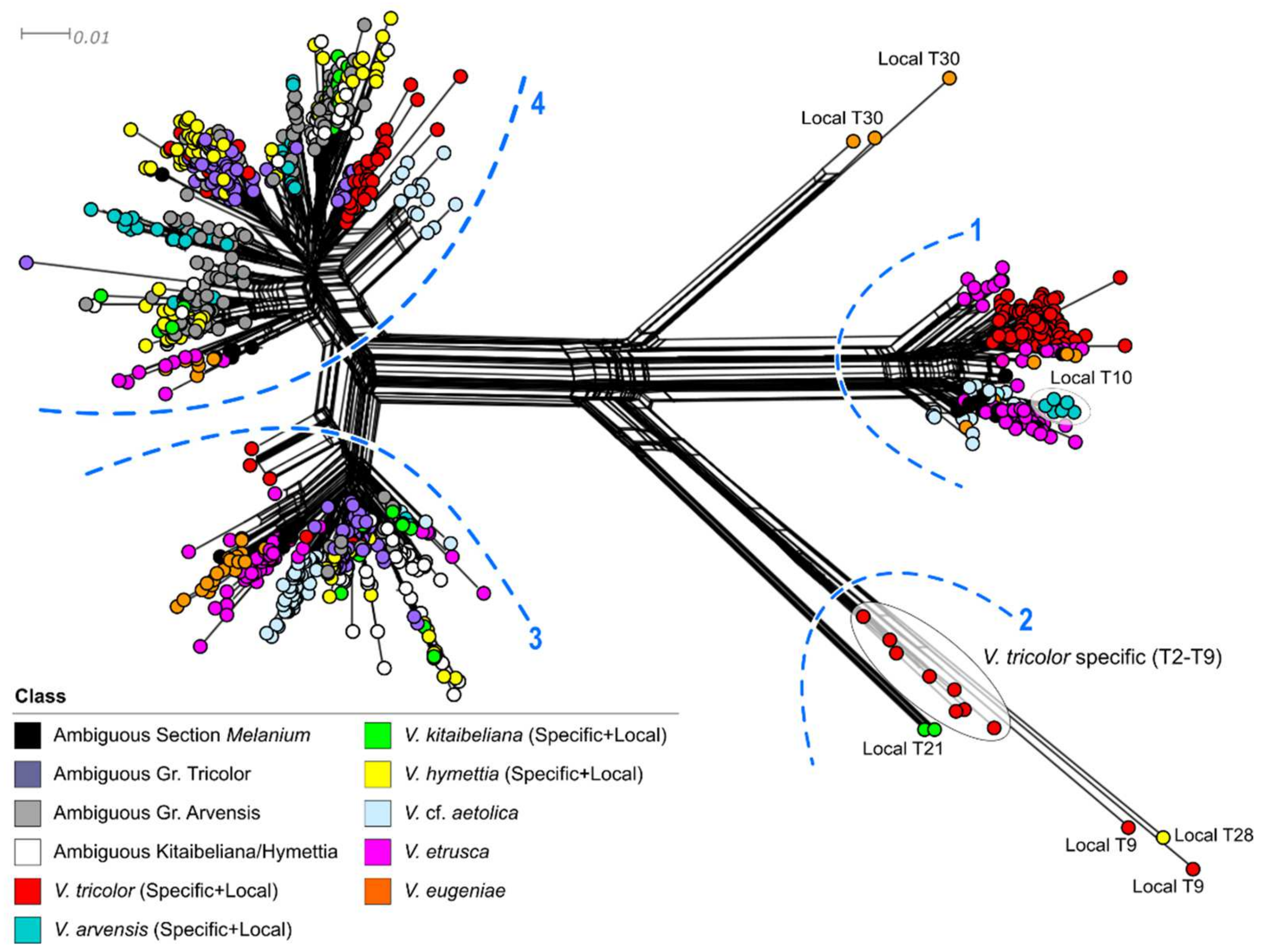 Plants 11 01294 g005